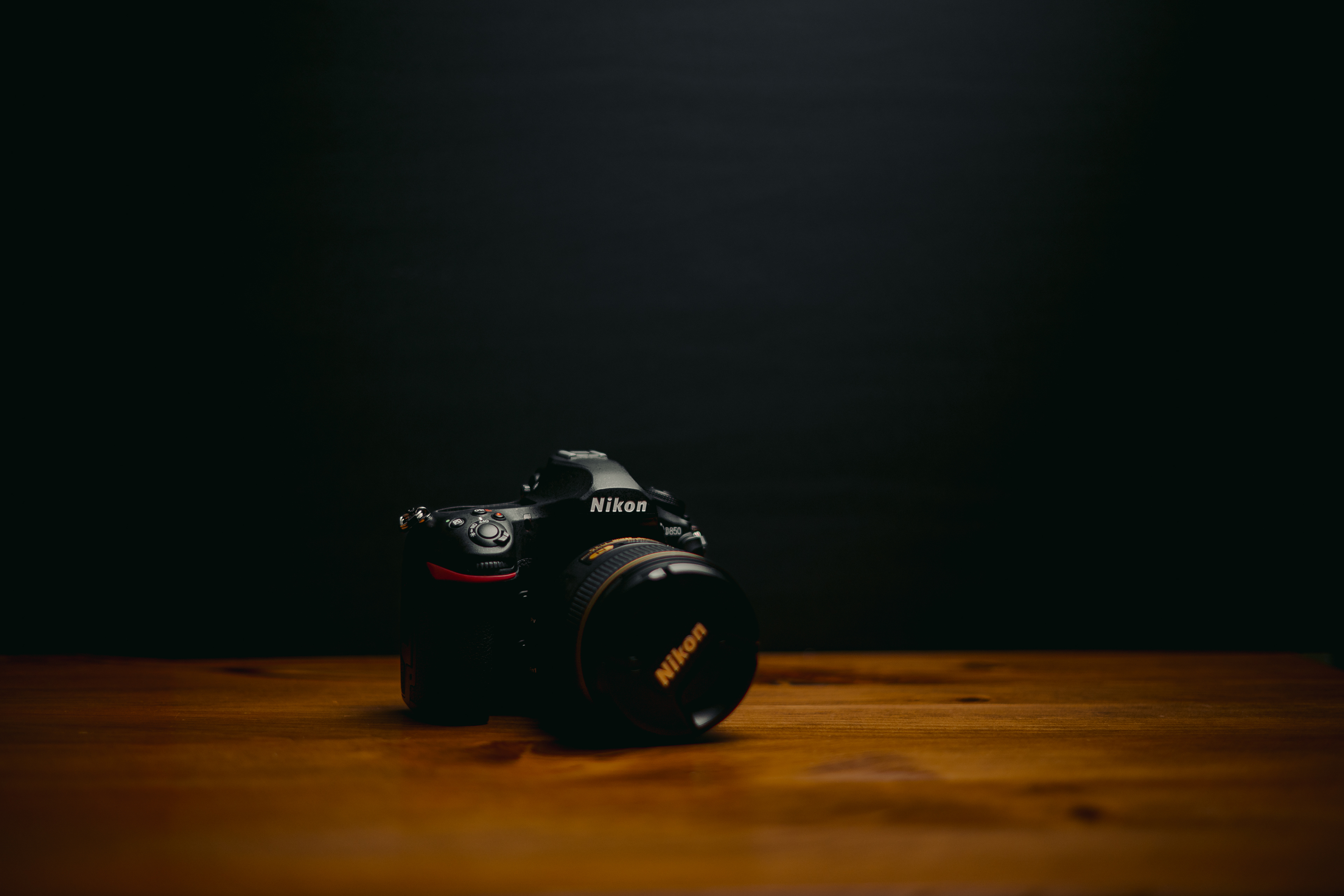 Workhorse ~ ~ Nikon Z6iii