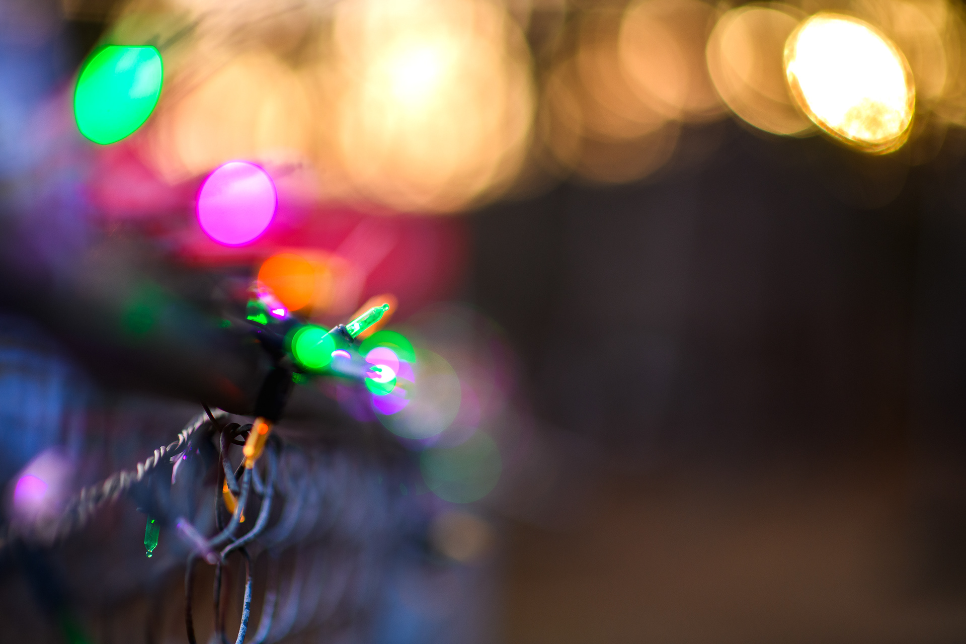 Buffalo Headwaters Challenge, Day 1 ~ ~ Nikon D850