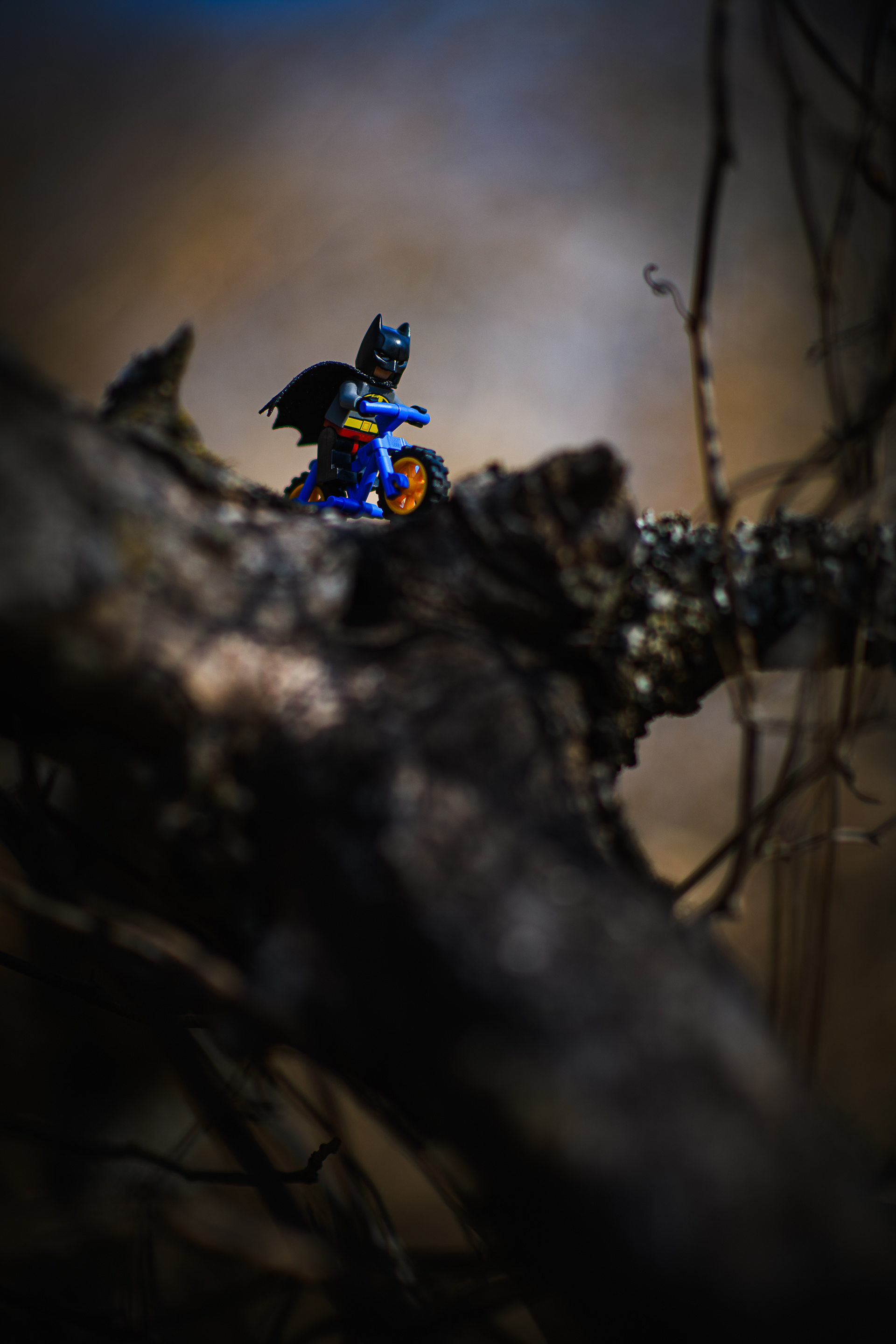 Batman ~ ~ Nikon D850