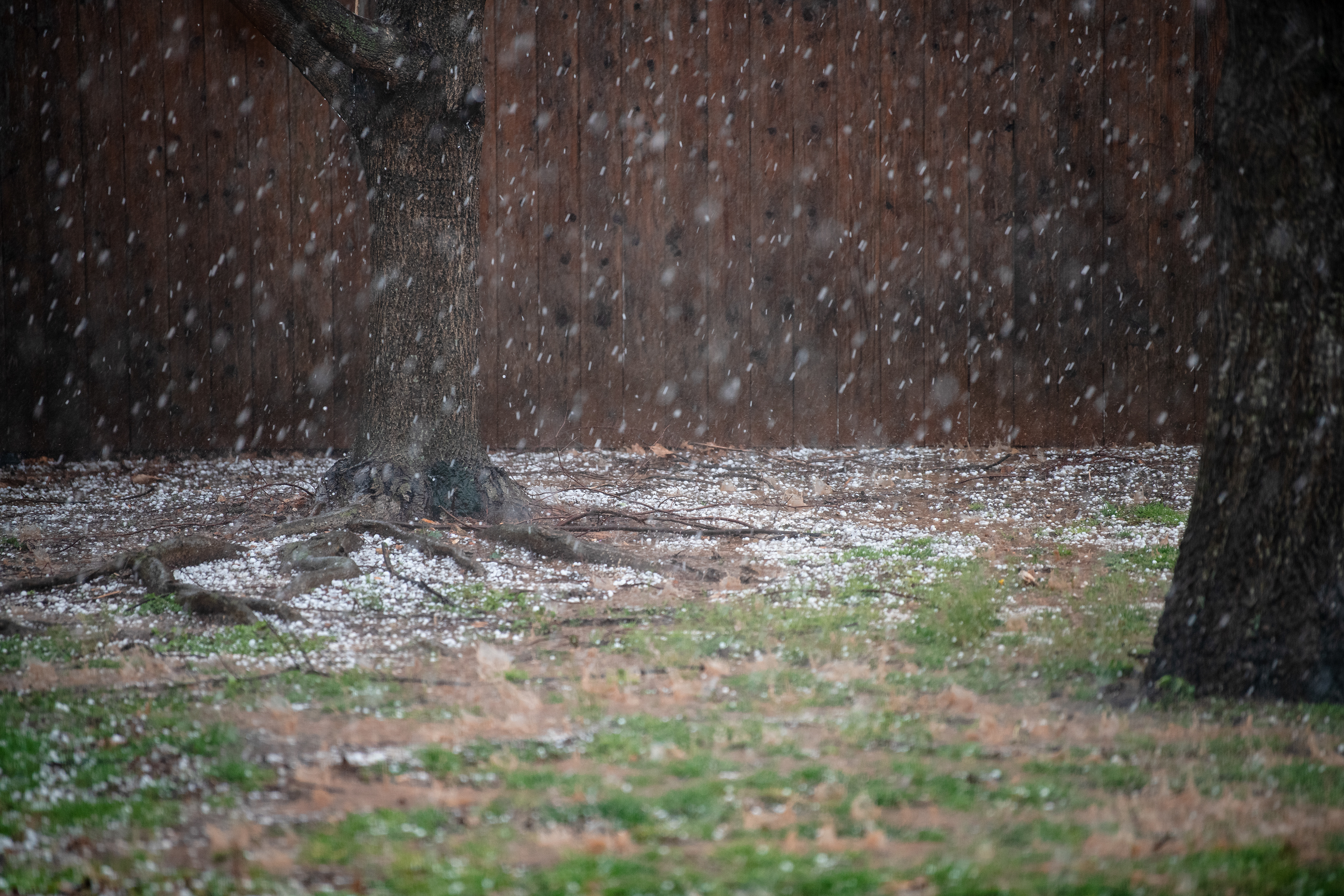 Winter ~ ~ Nikon D850