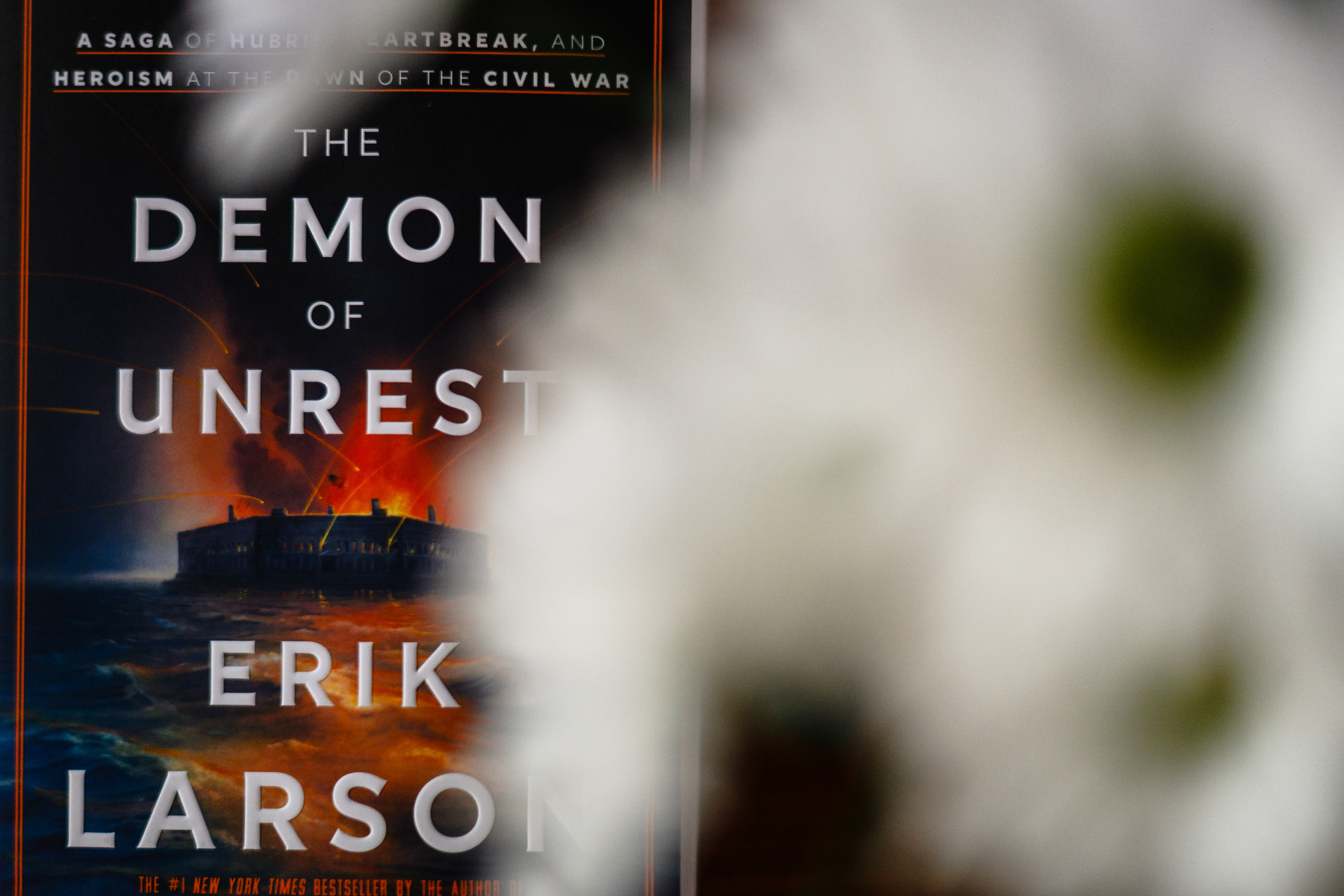 Reading Right Now ~ ~ Nikon z6iii