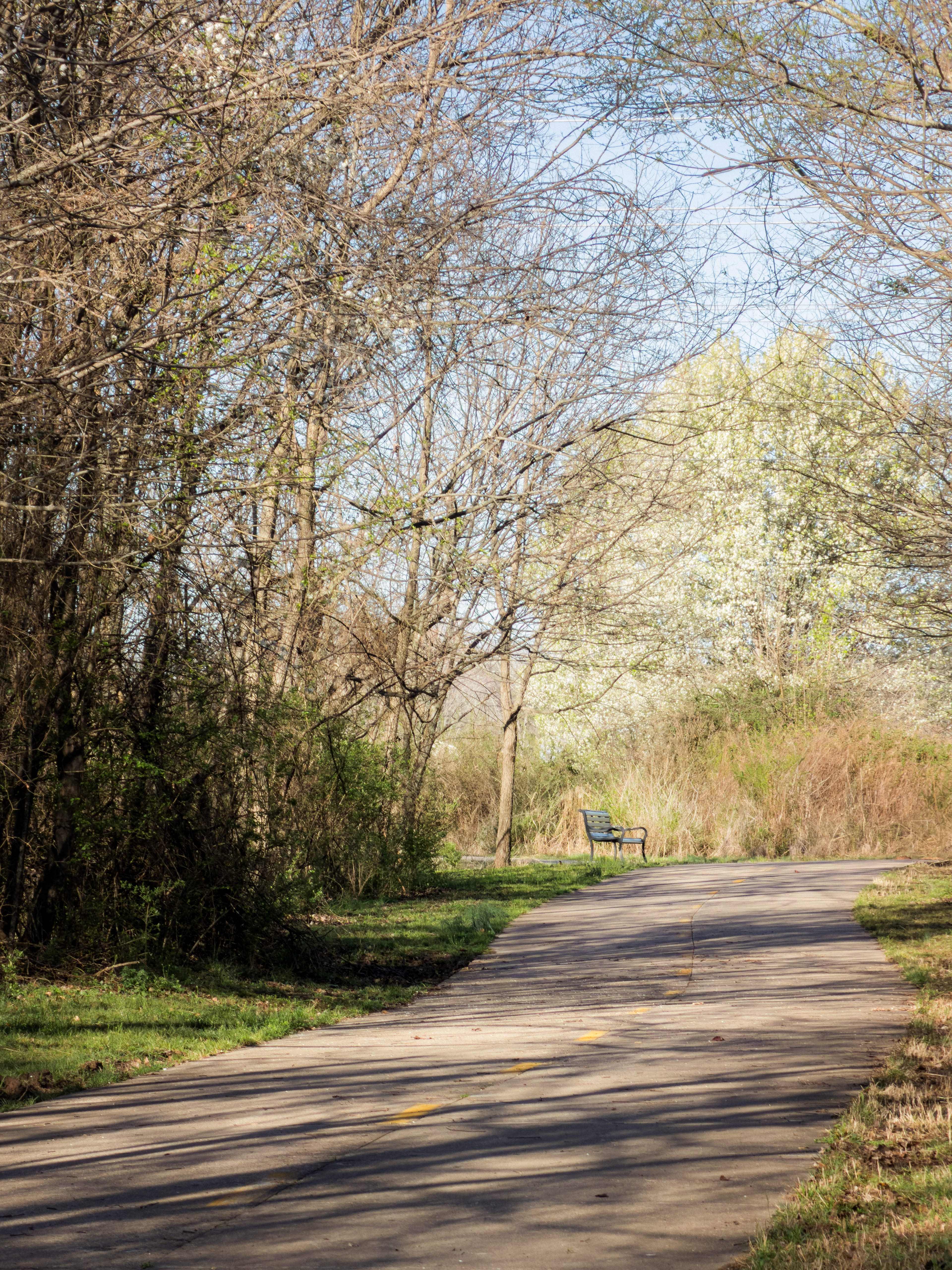 Langley's Trail ~ ~ iPhone