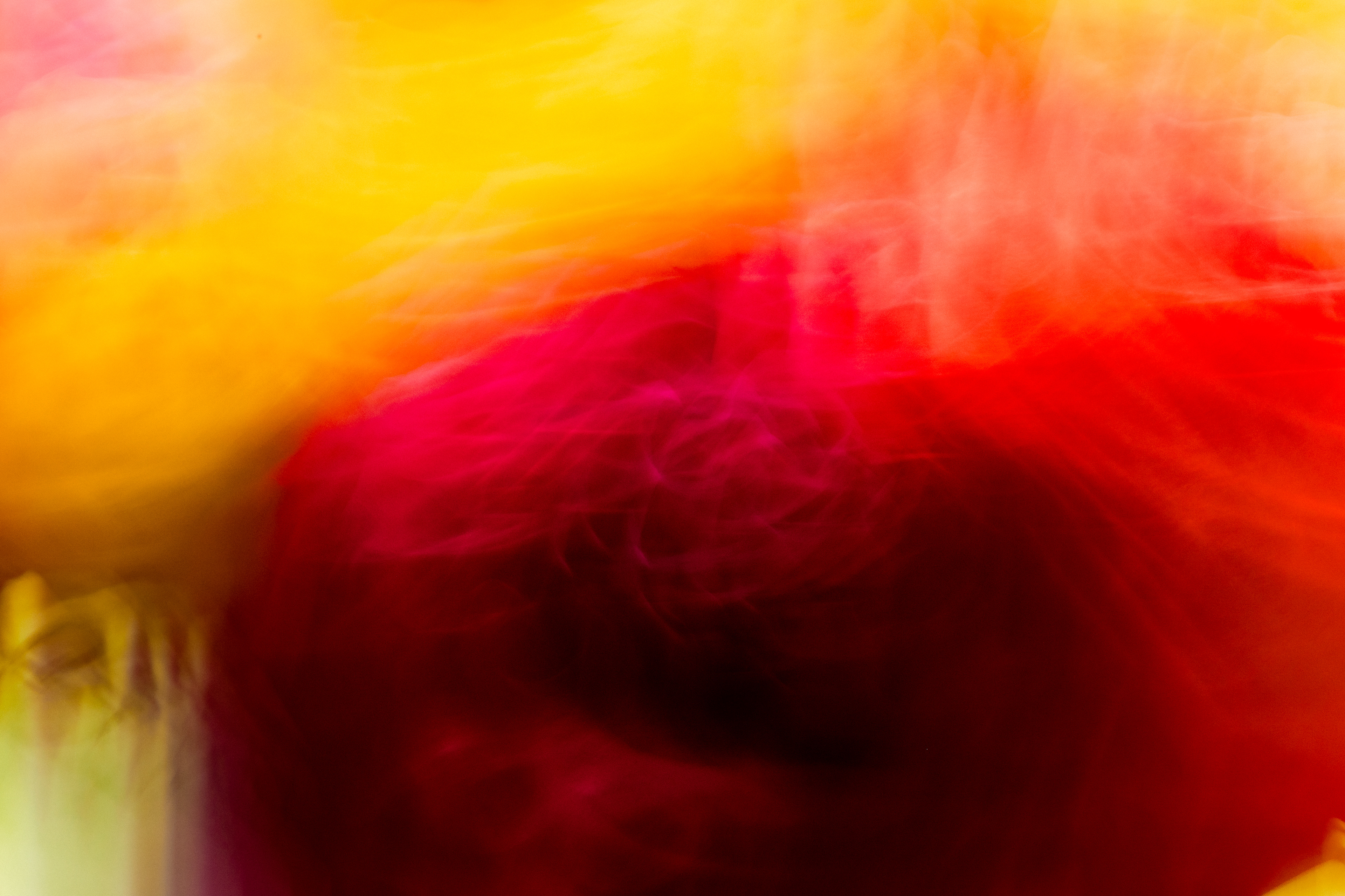 Abstract Roses