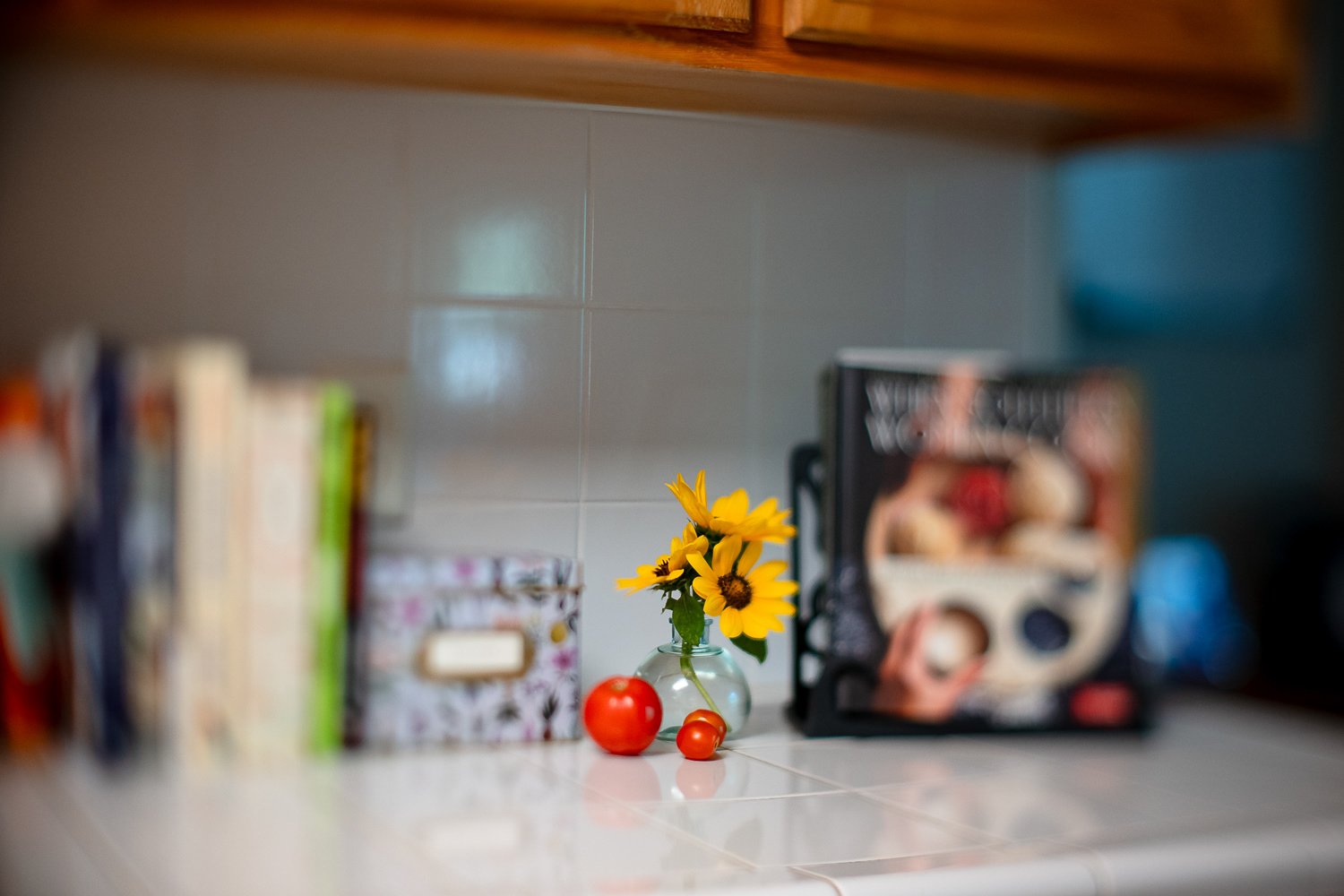 Nikon Z8,  50mm tilt shift lens, f/1.4,  1/100 sec.