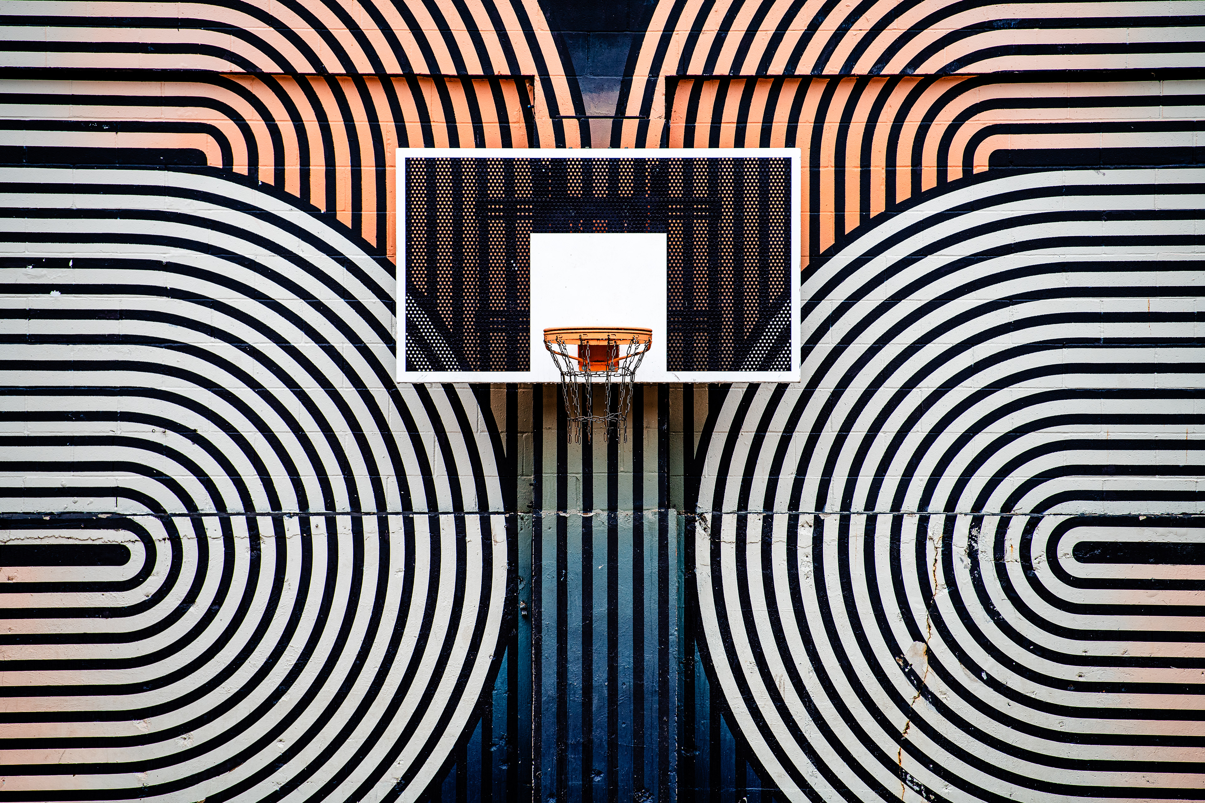 Hoop Art ~ ~ Nikon d850