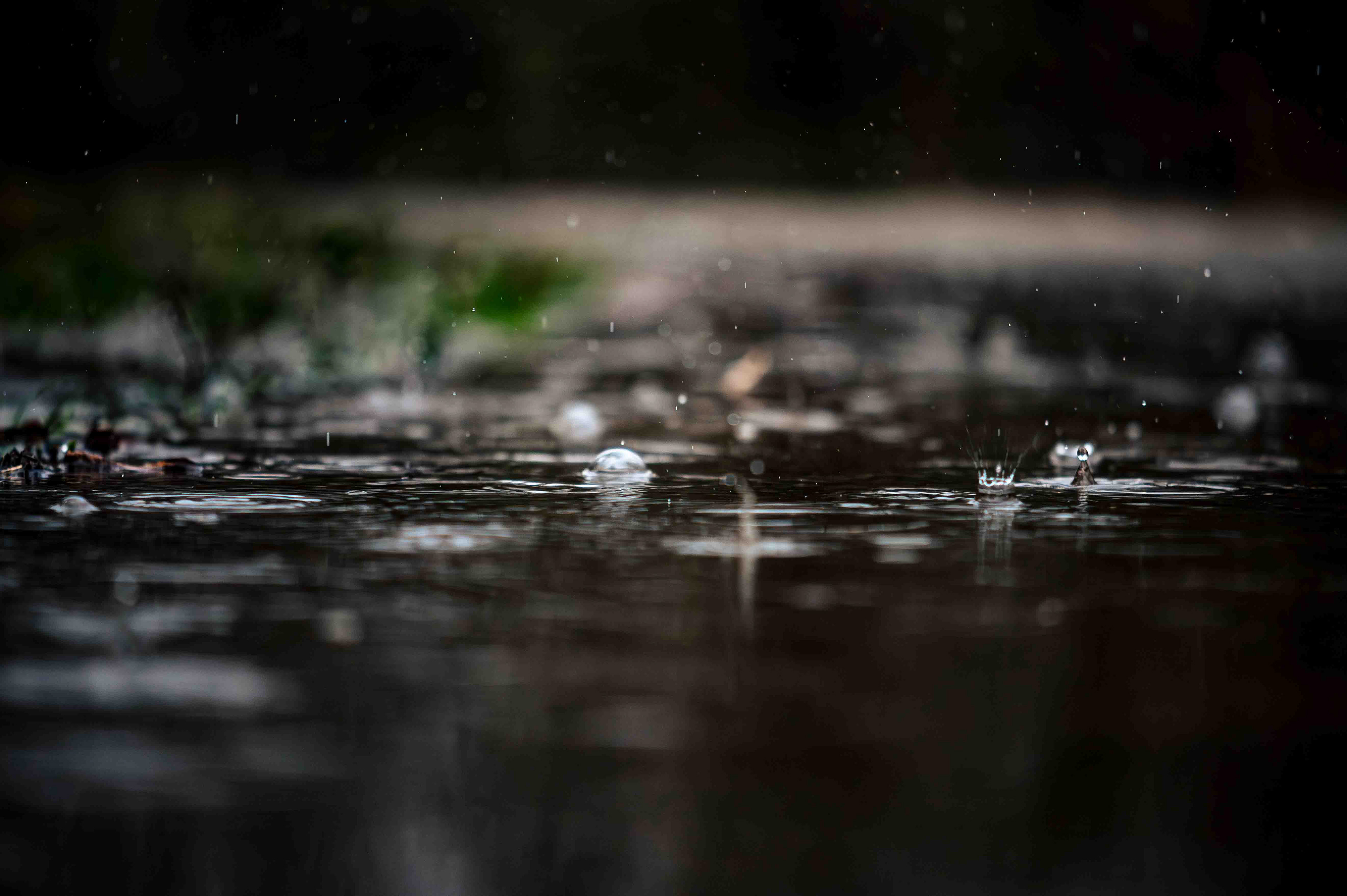 Thunderstorm-y Day~ ~ Nikon d850