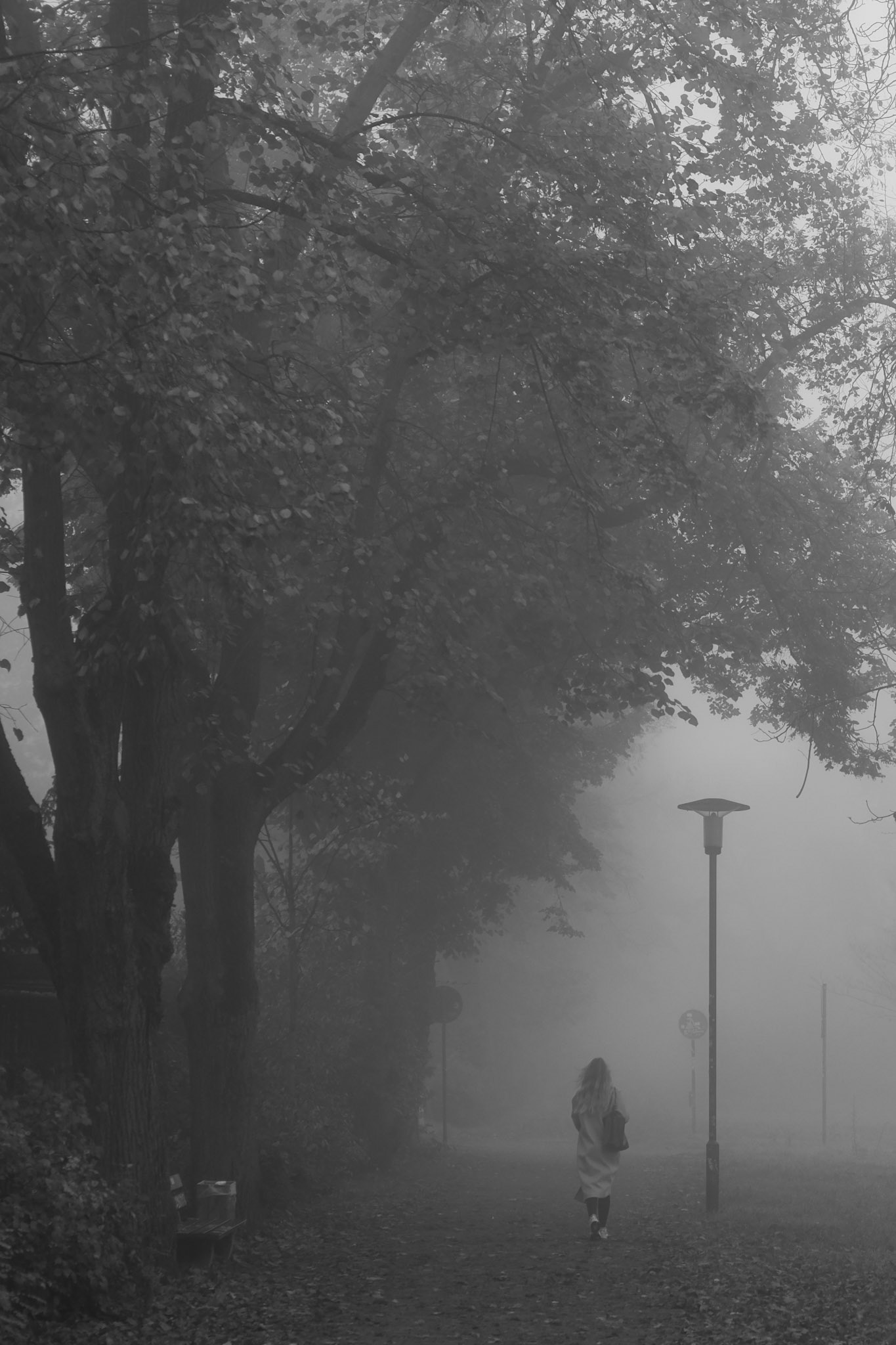 Nebel << "Darmstadt"