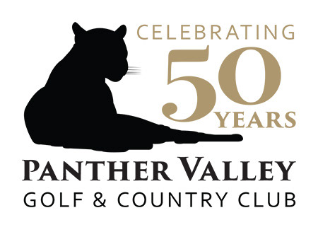PV 50th logo