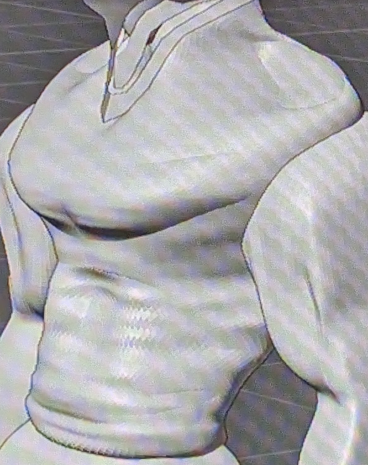 Completed Torso