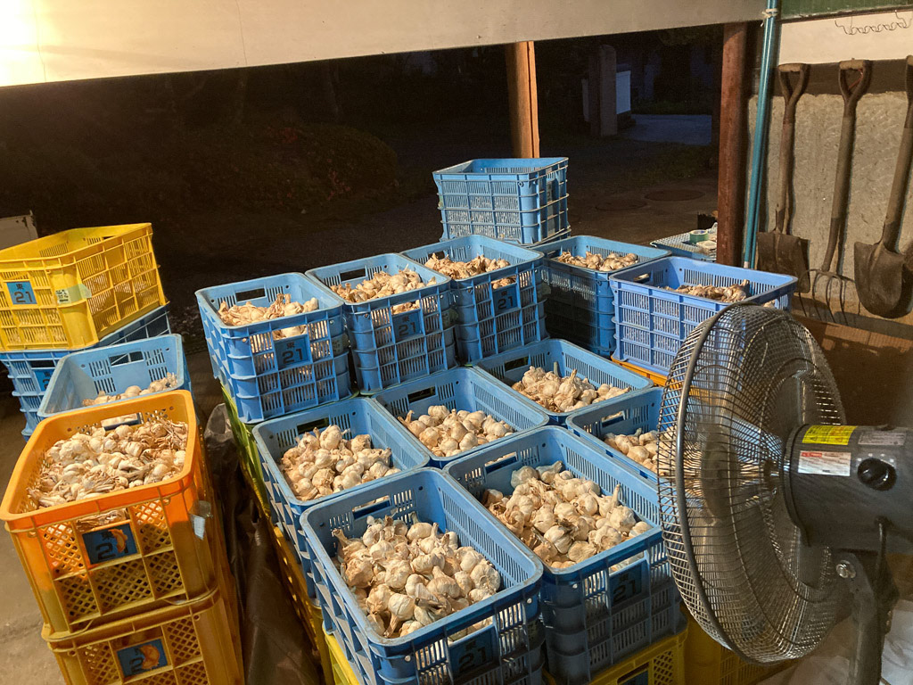 ひとまず送風