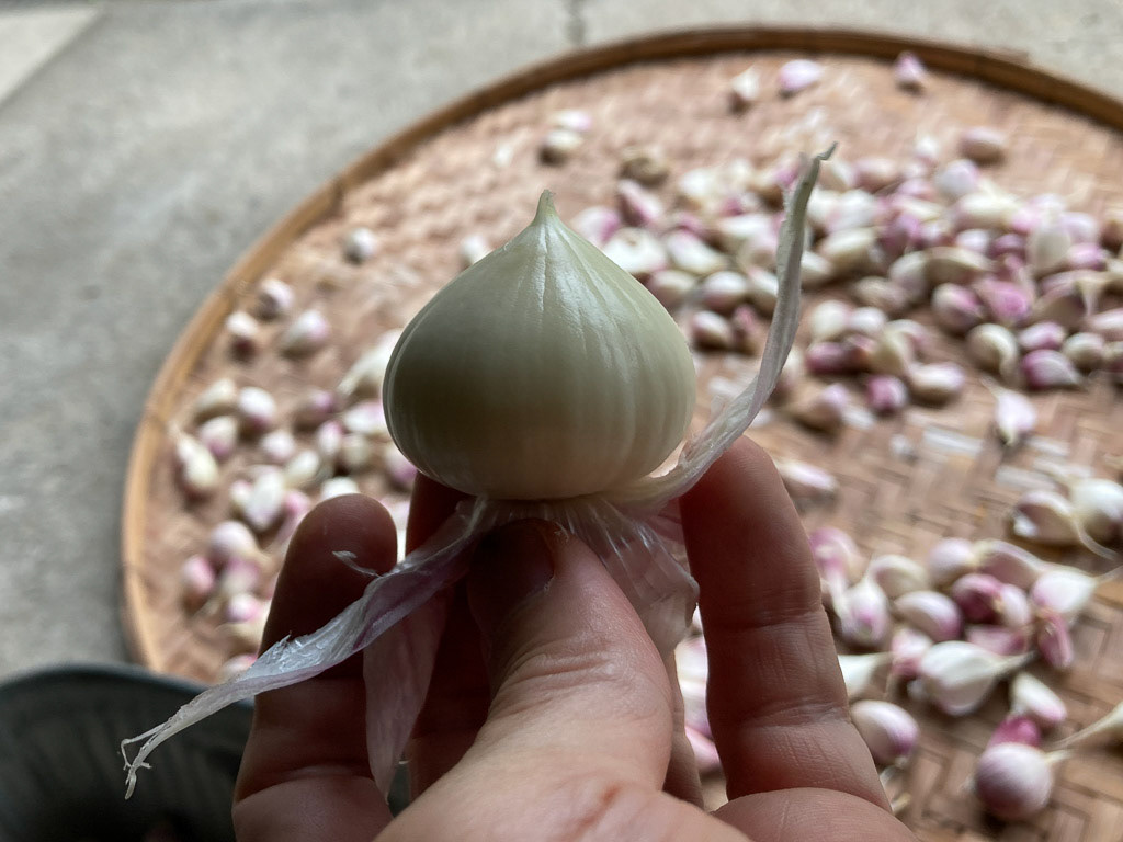 一片にんにくは剥いたらこうなります