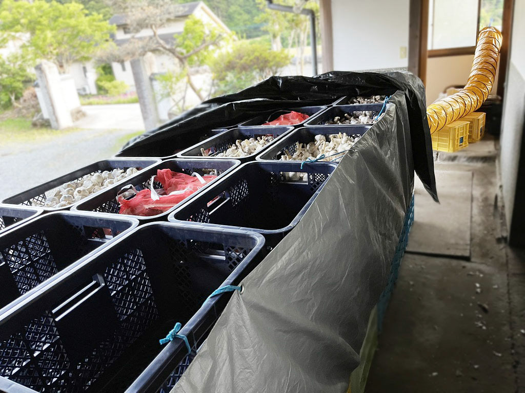 重さを量りながら、時間をかけます