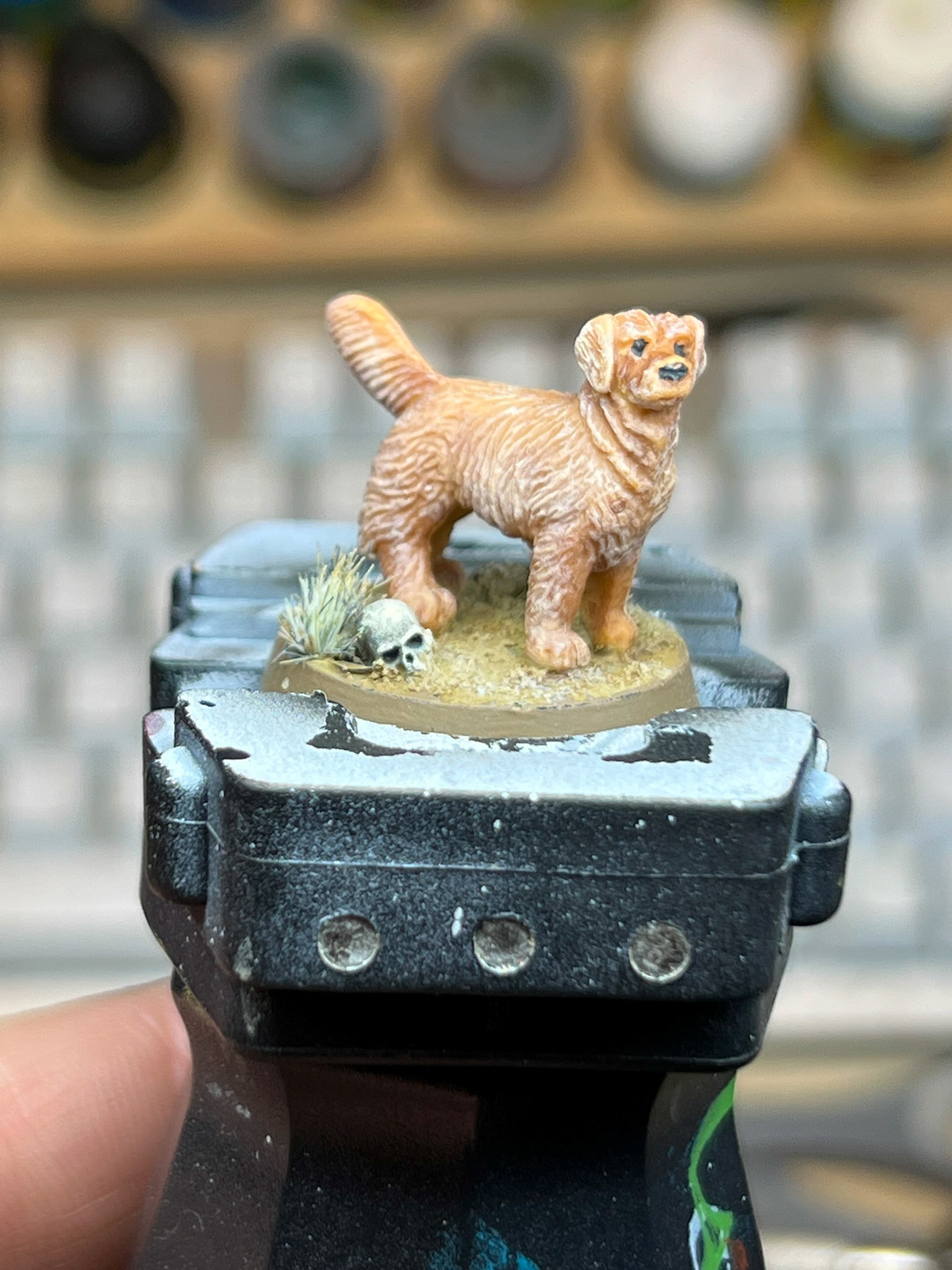 Butter the Battle Hound