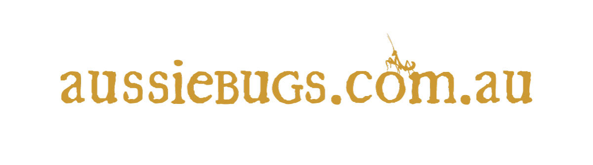 Aussie Bugs web address logo