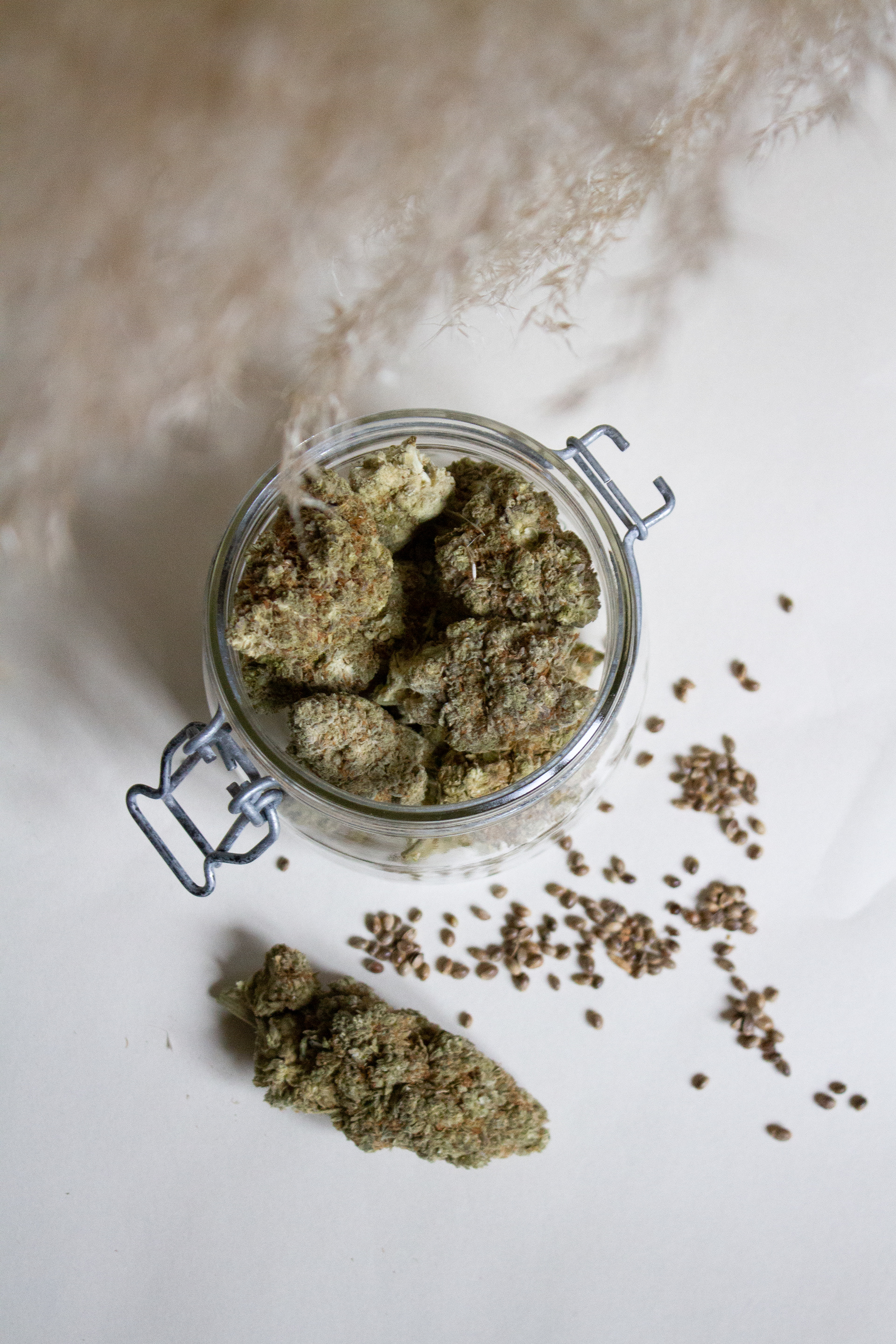 Fleurs Racine Carrée