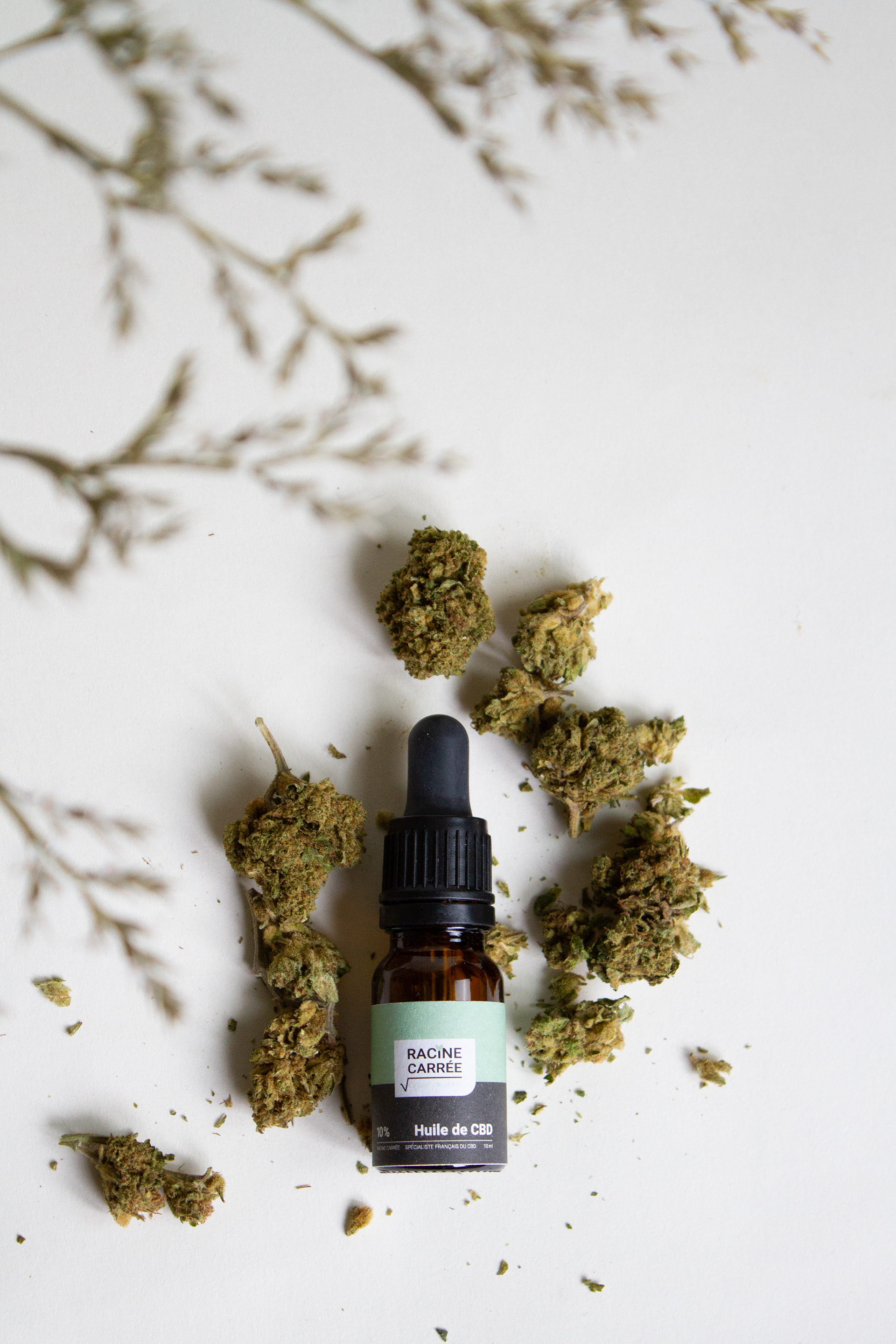 huile Cbd Racine Carrée