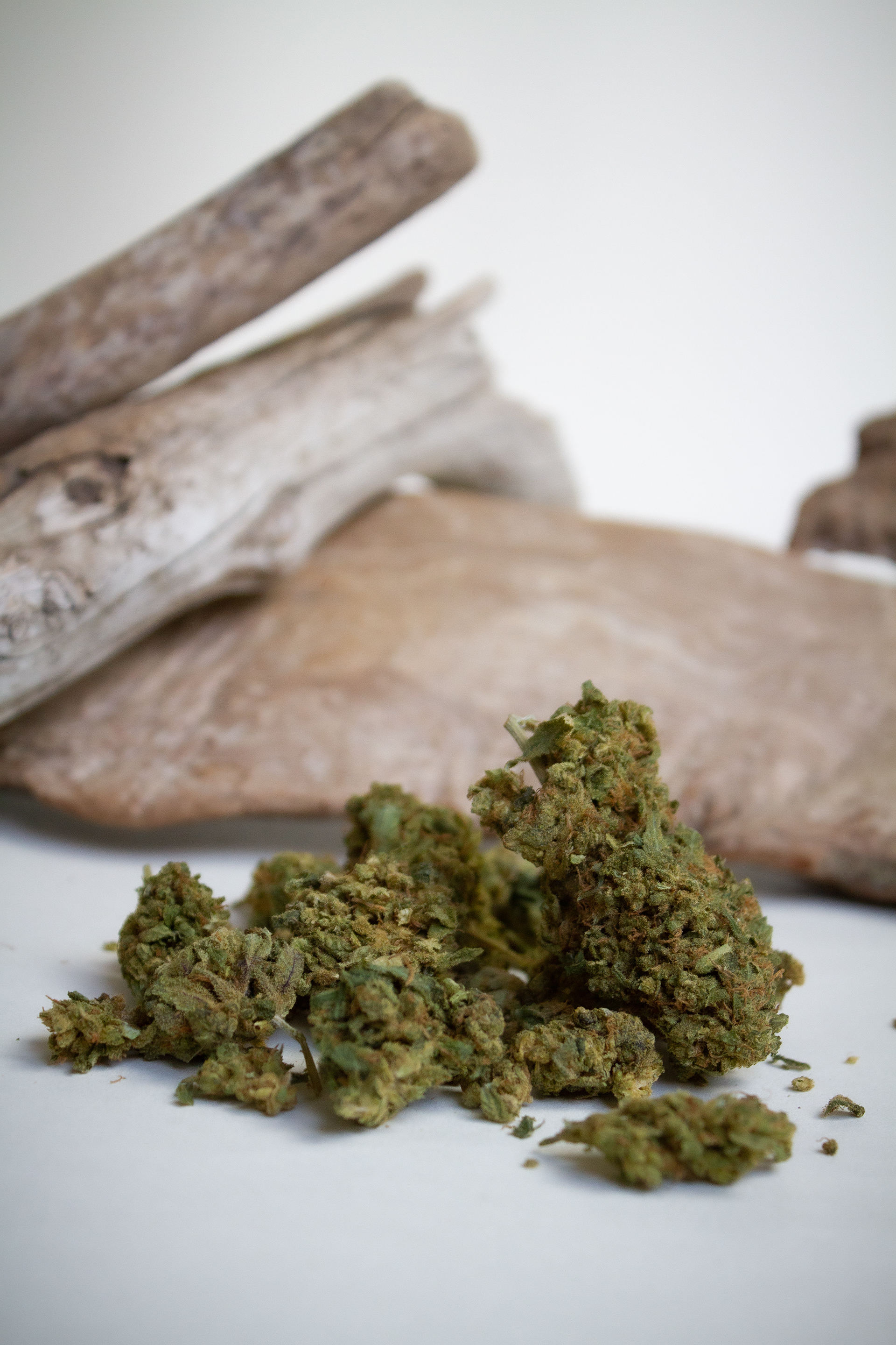 Fleurs Racine Carrée