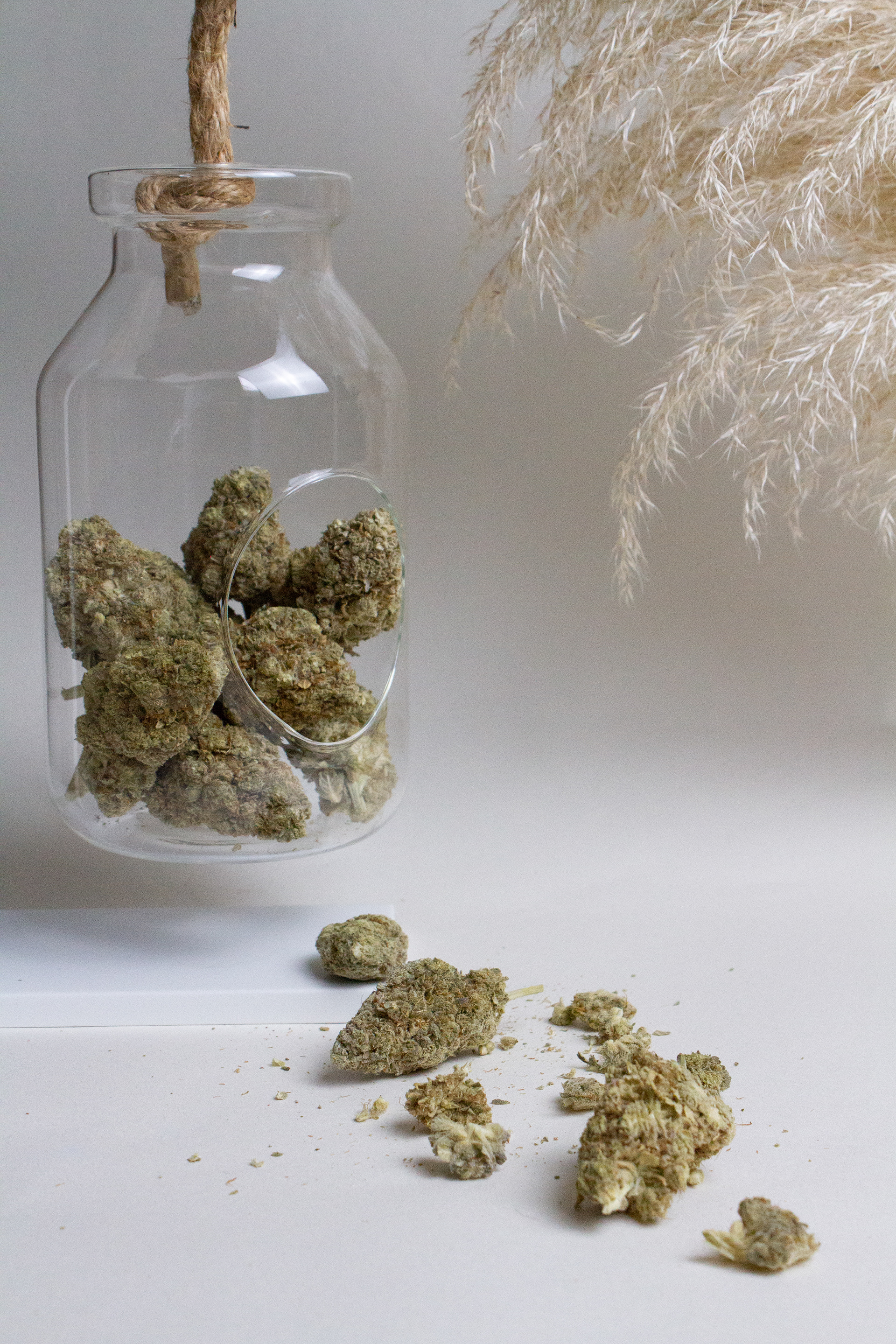 Fleurs Racine Carrée