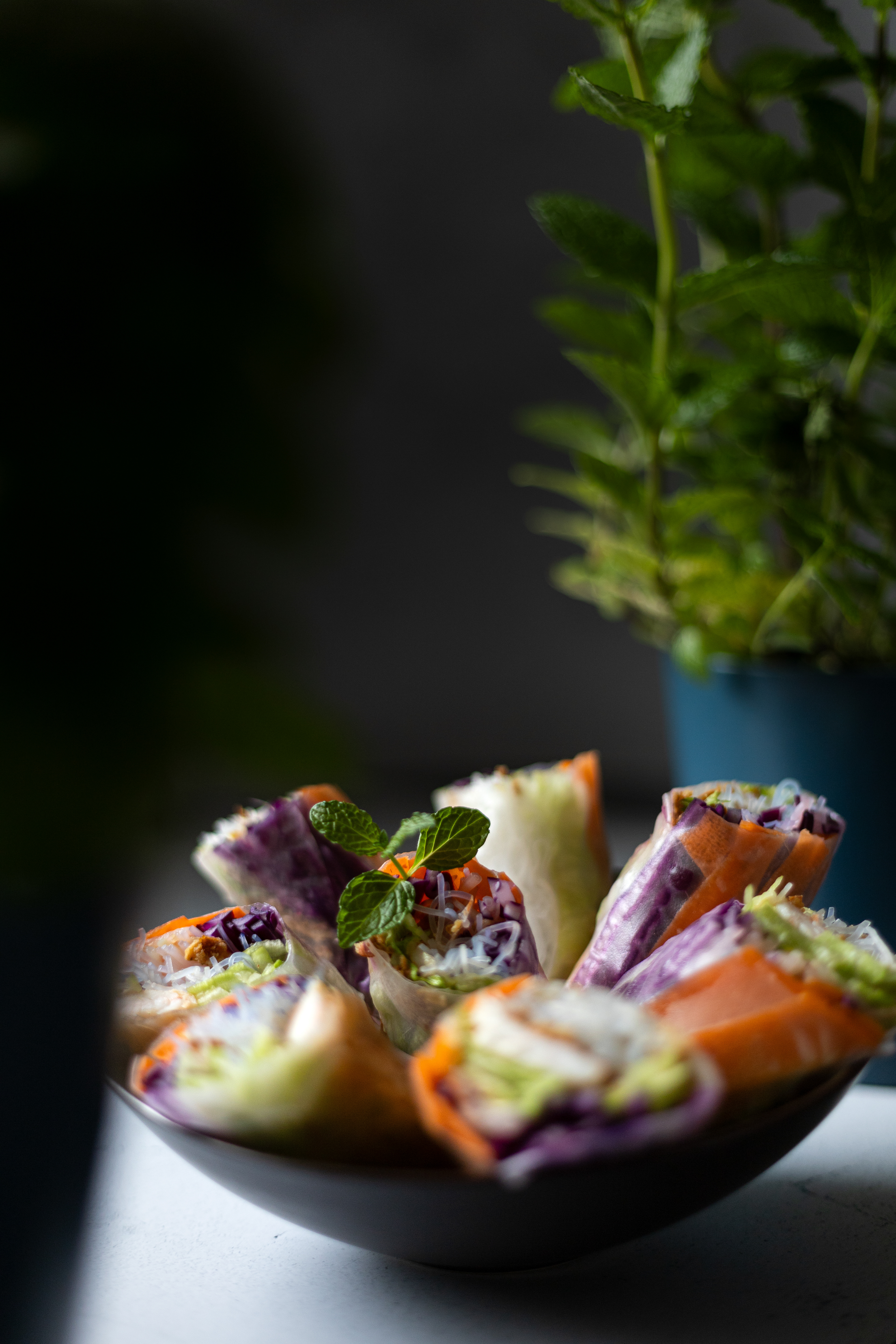 Rouleaux de printemps
