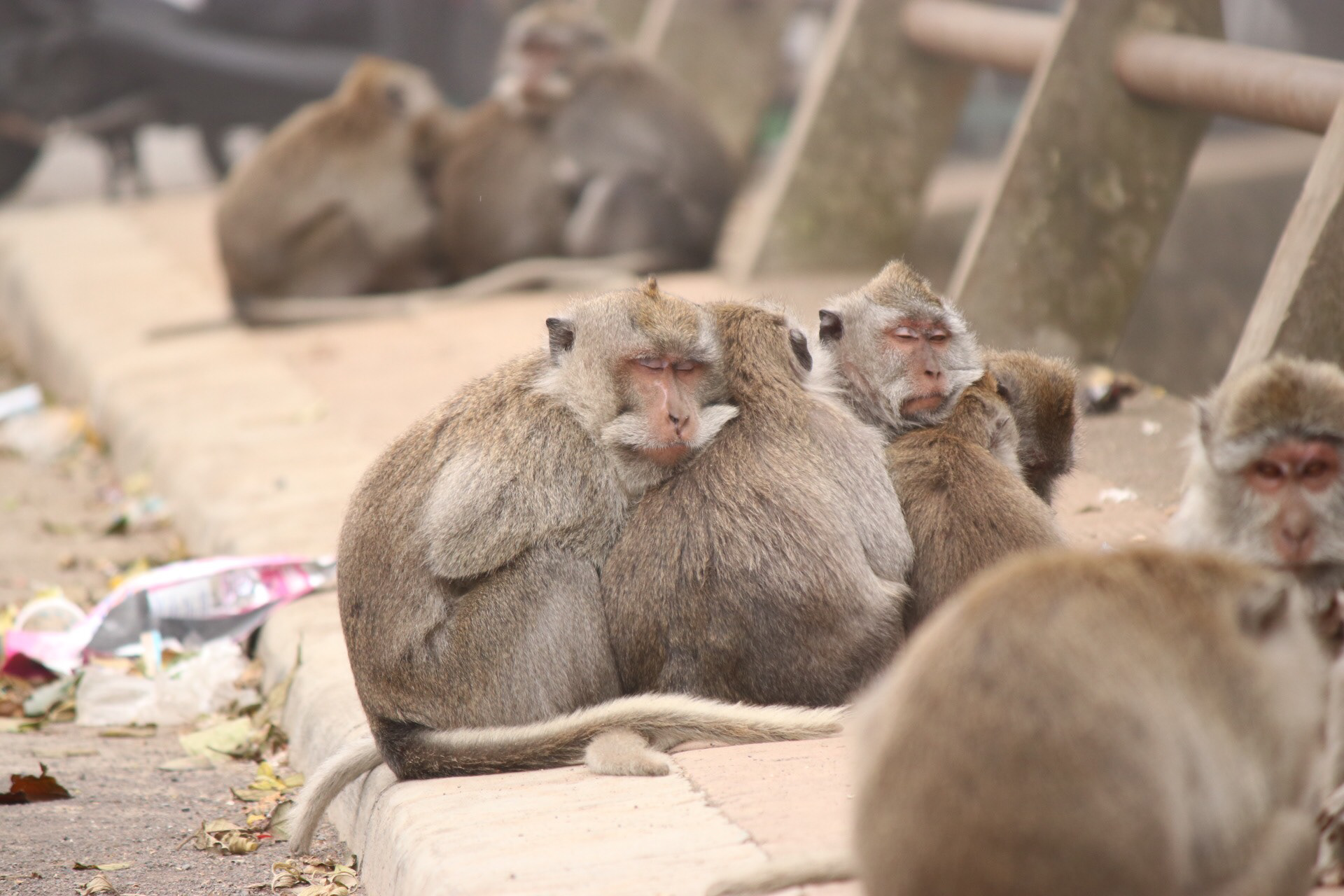 それぞれの団欒