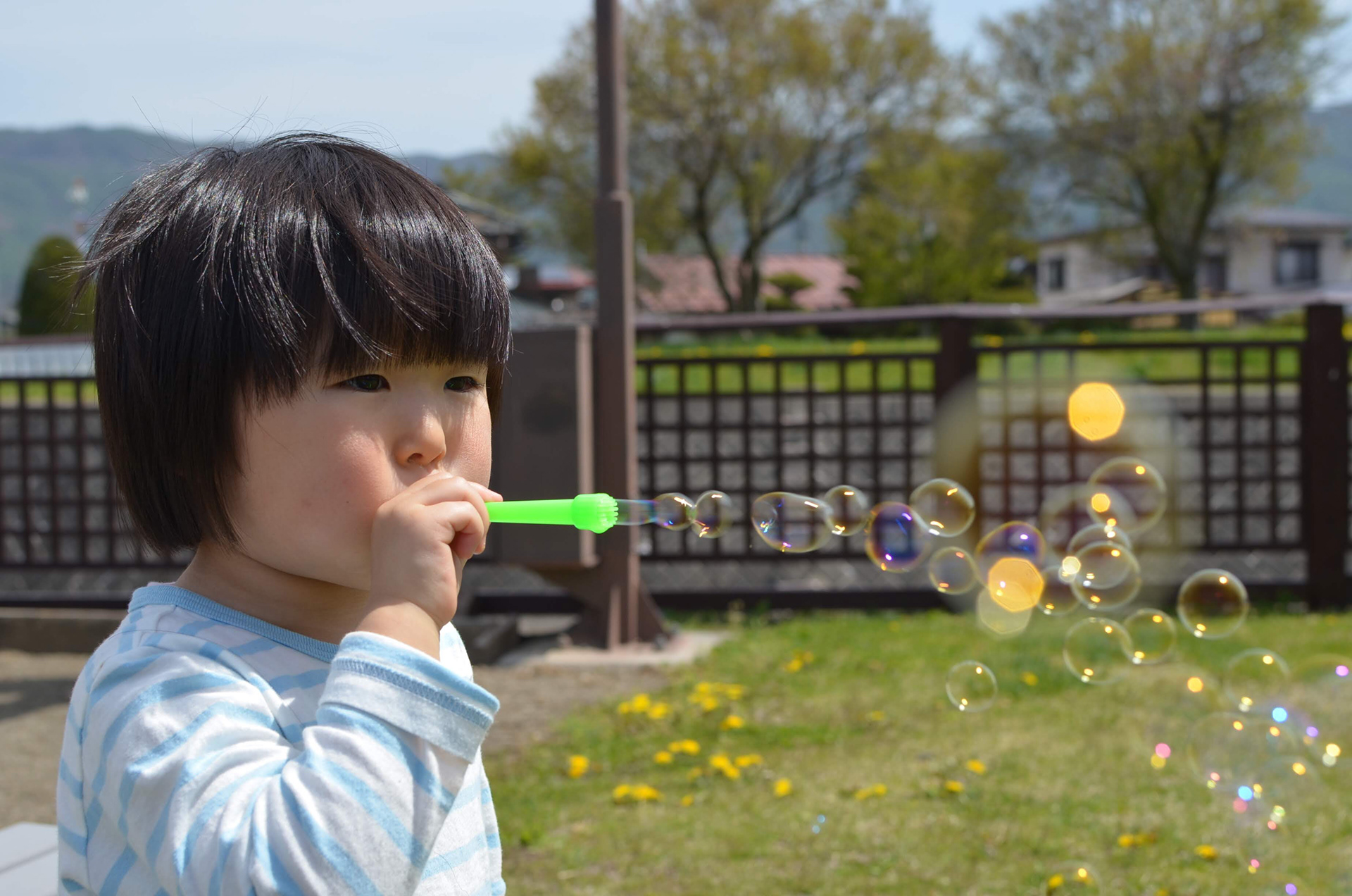 春の晴れの日