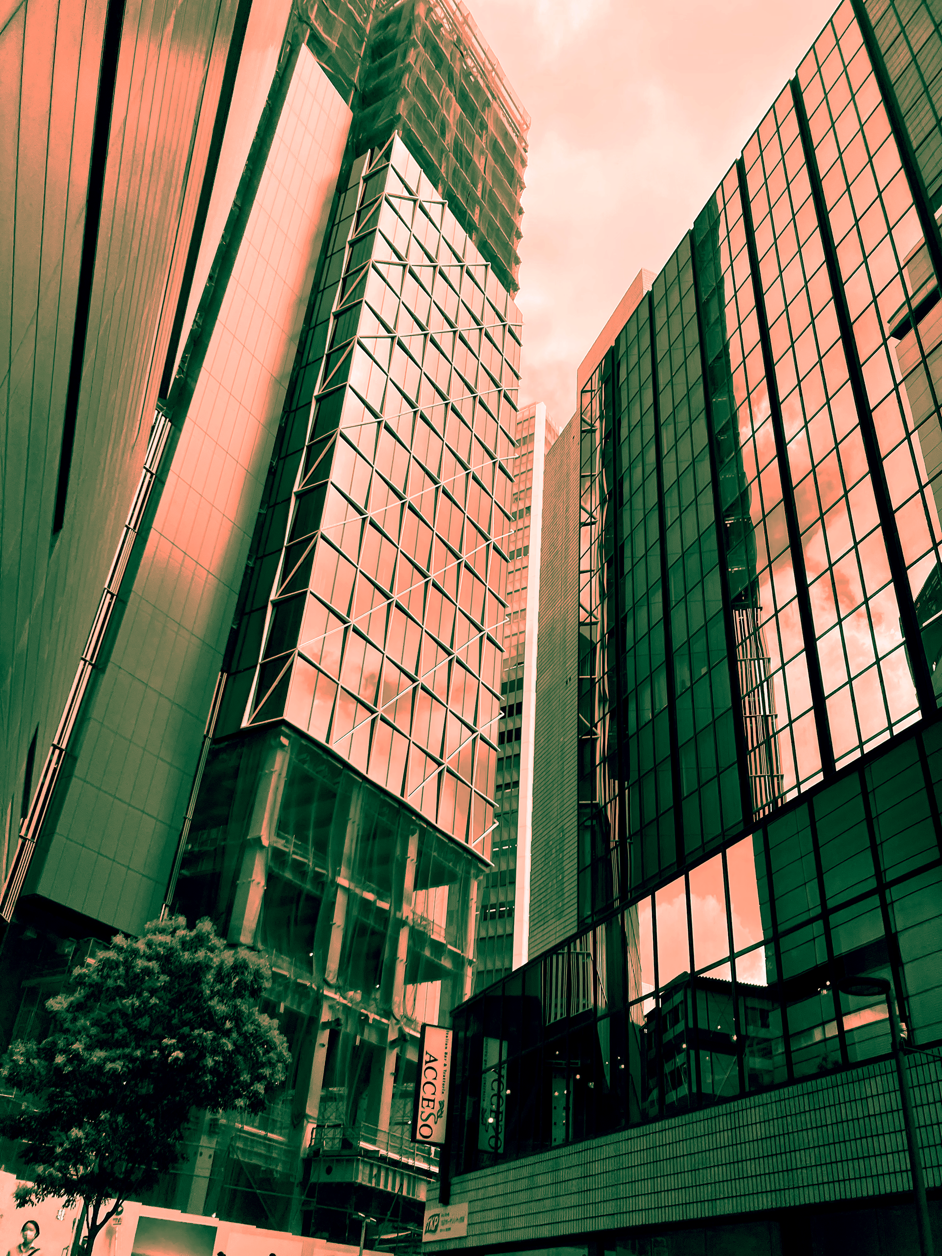 Nihon Sick 1, 3024x4032 pixels, 2024