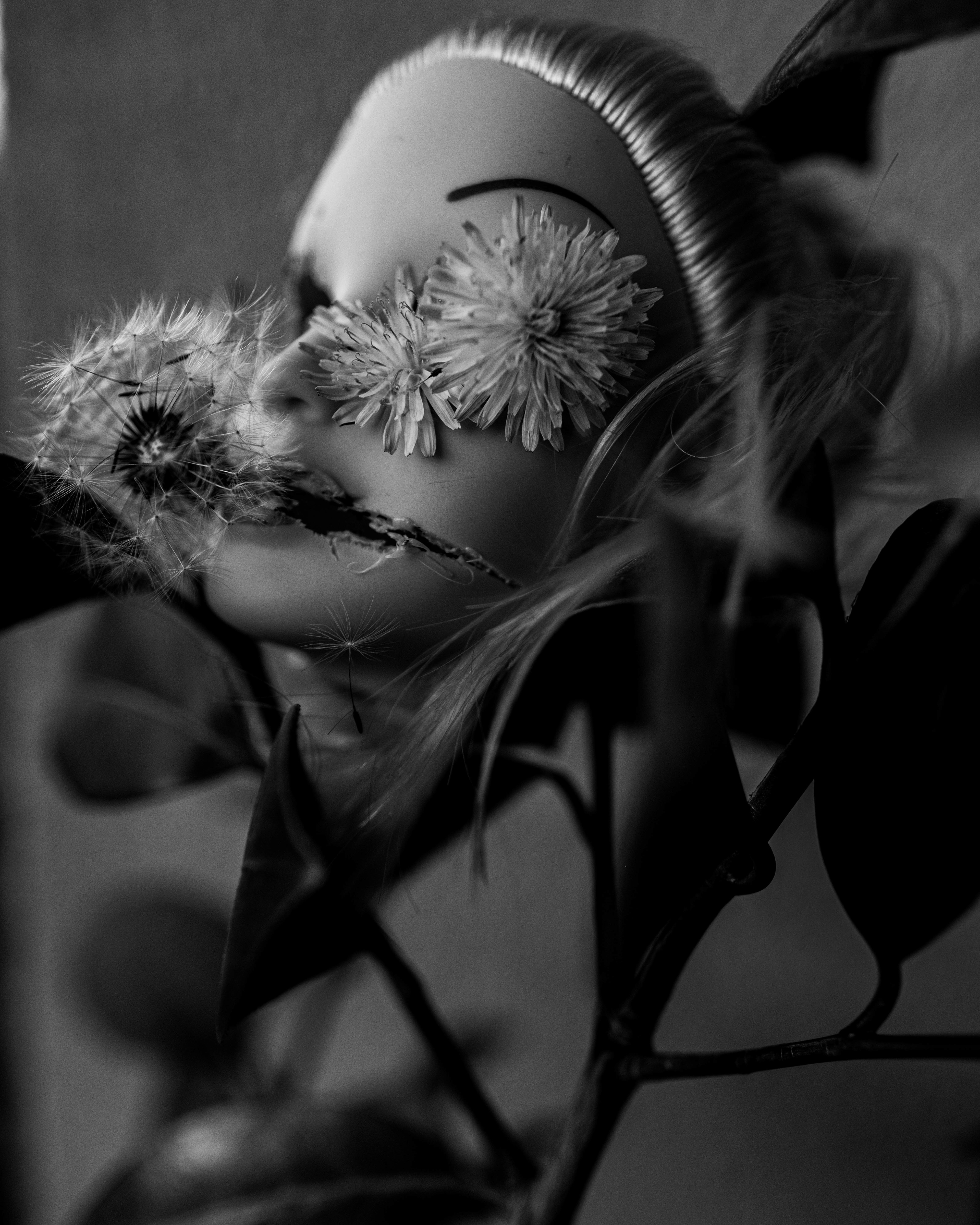 Floraleyes, Digital Image, 2024