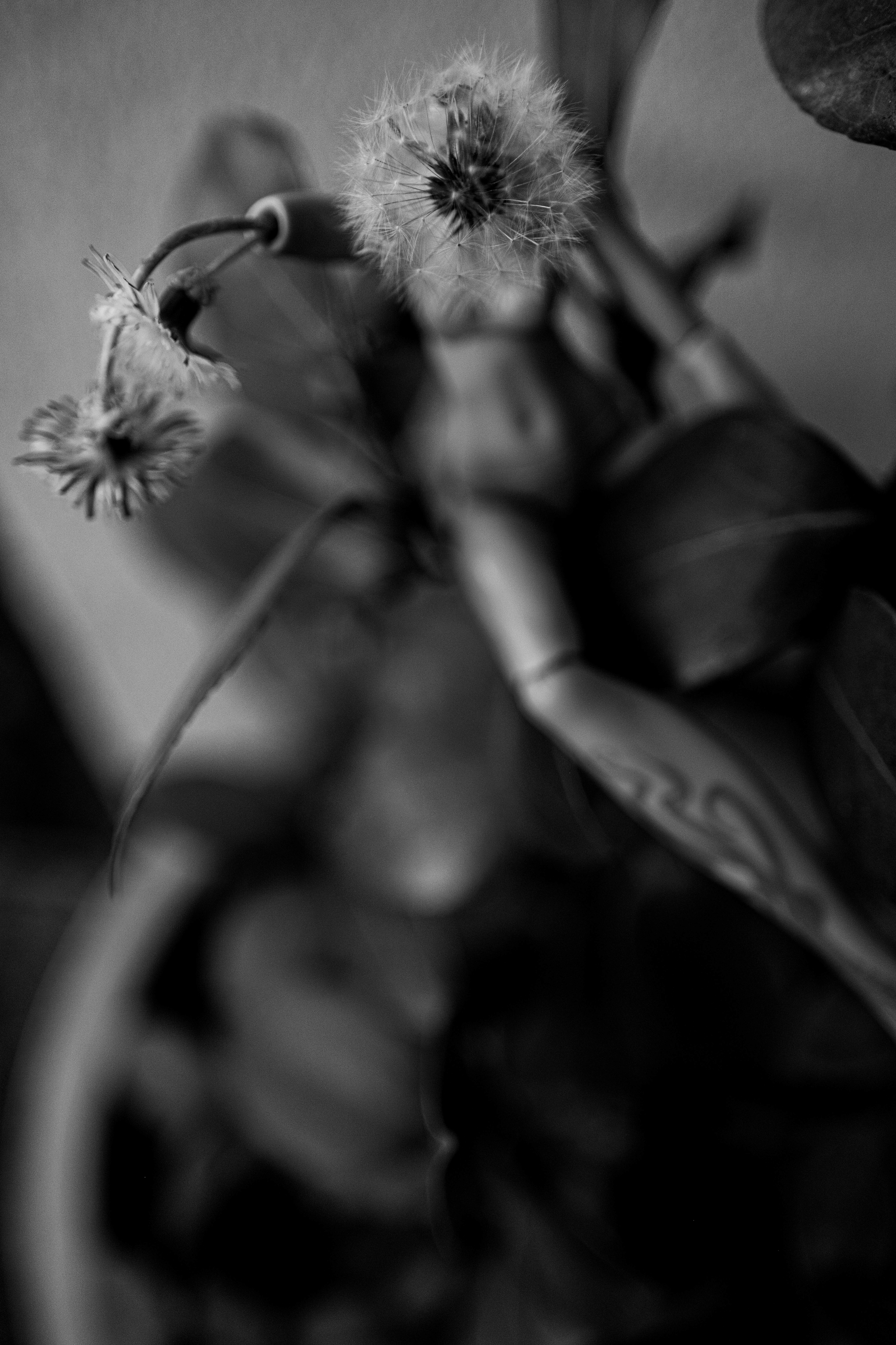 Hands and heads and wispy wishes, Digital Image, 2024