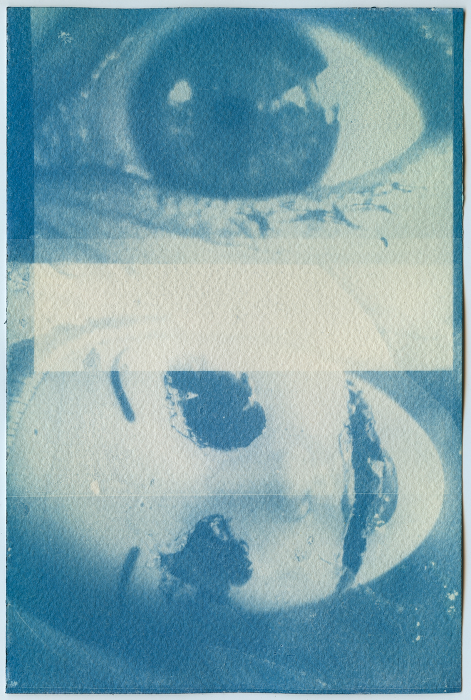 Cyanotype, 5" x 7" , Watercolor Paper