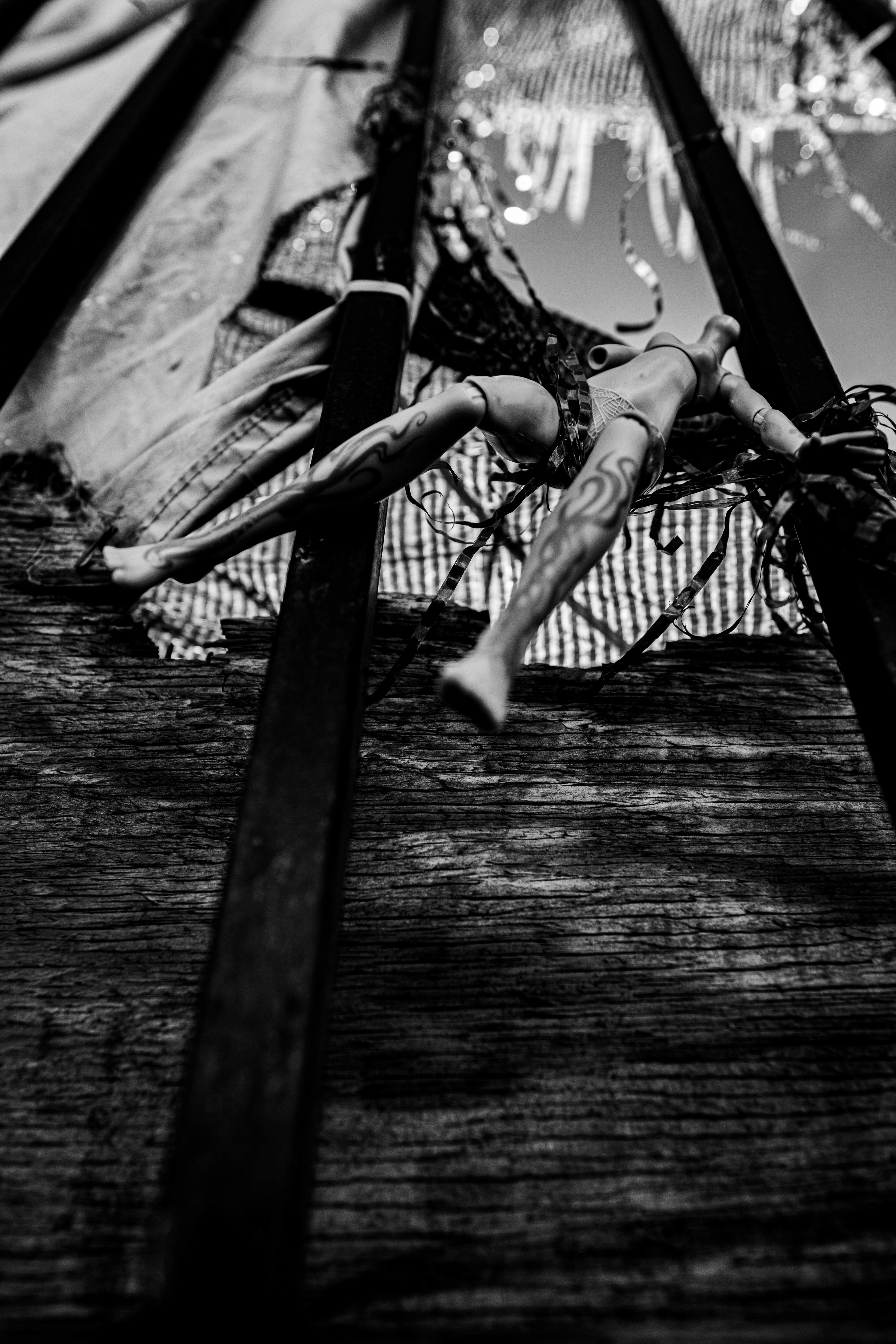 Hanging by a Thread, Digital Image, 2024