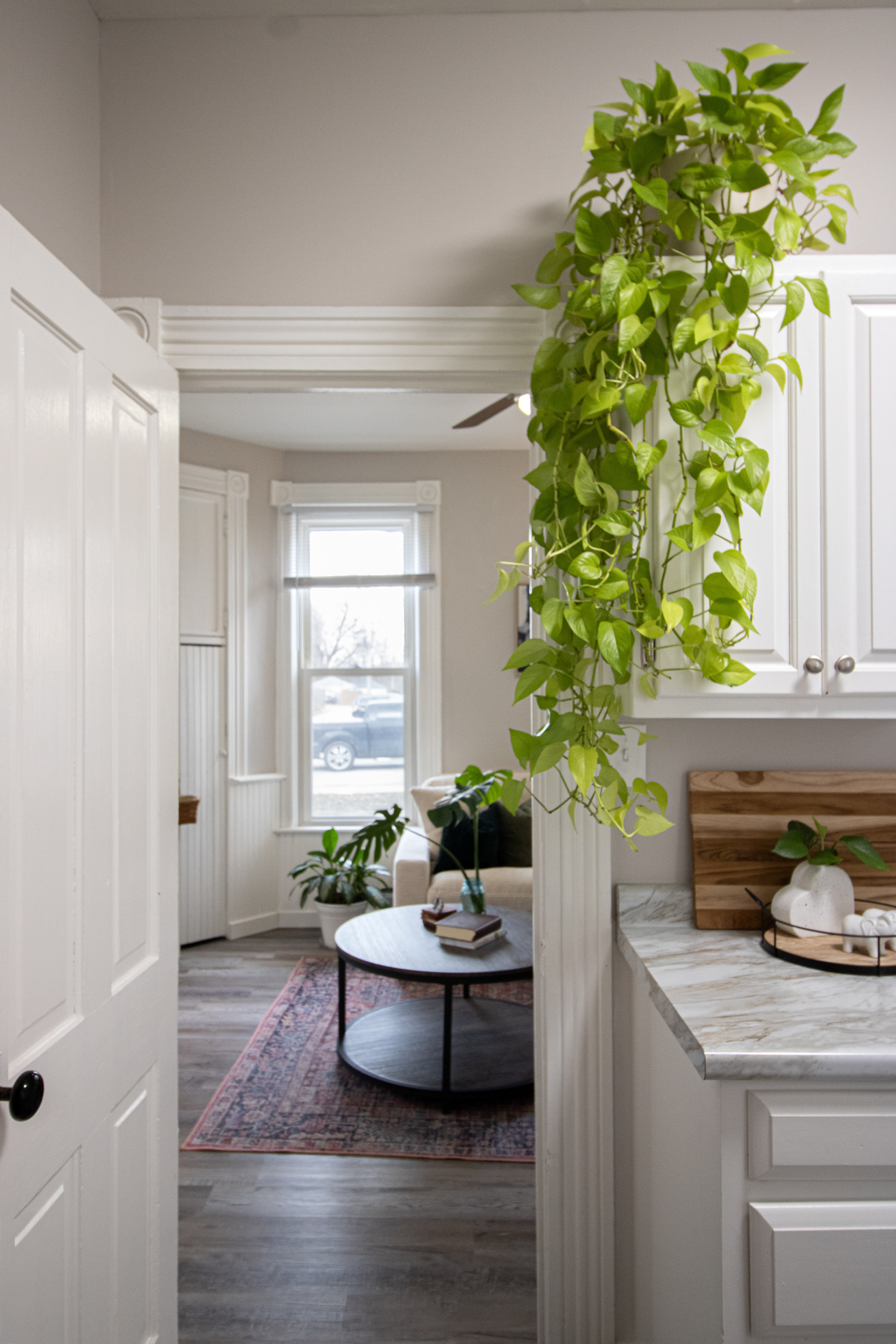 Kitchen into living room