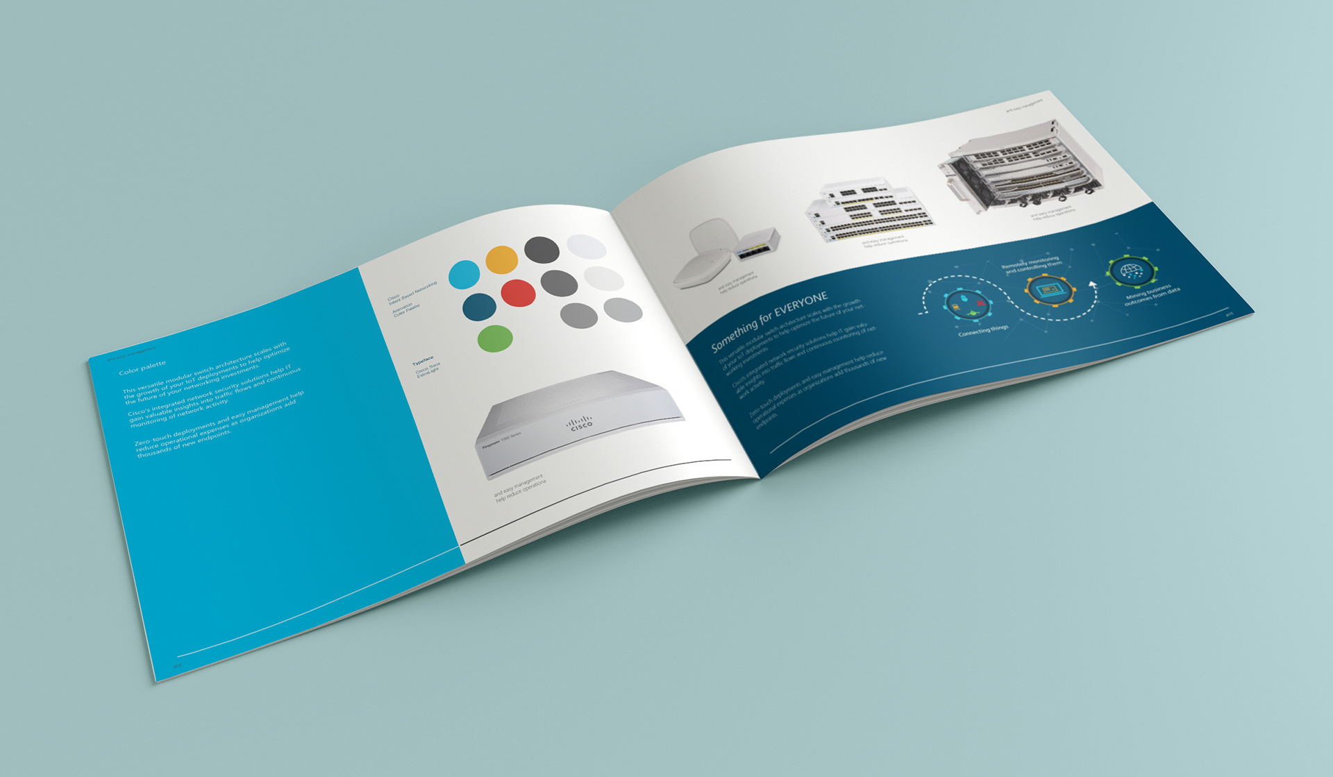 Mock-up of a the IDL guide booklet (PDF)