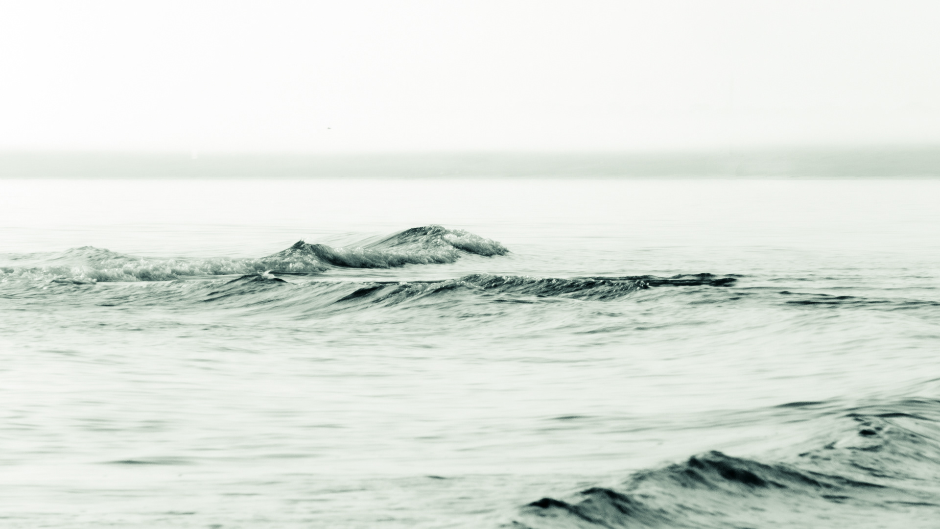 Image n° Marine B&W / Le Douhet Oleron 09