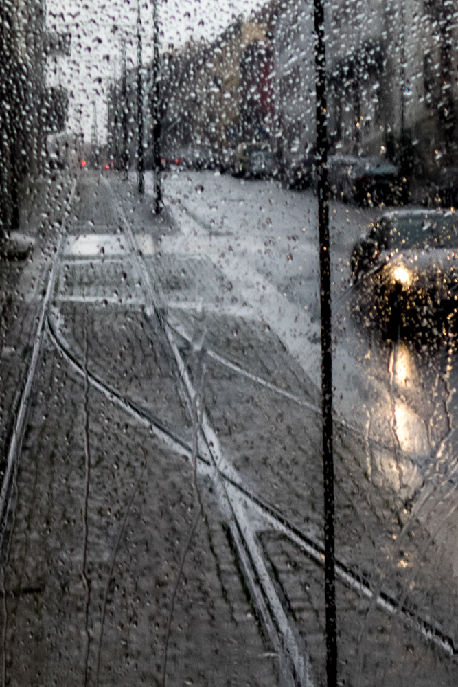 Rainy Color #23