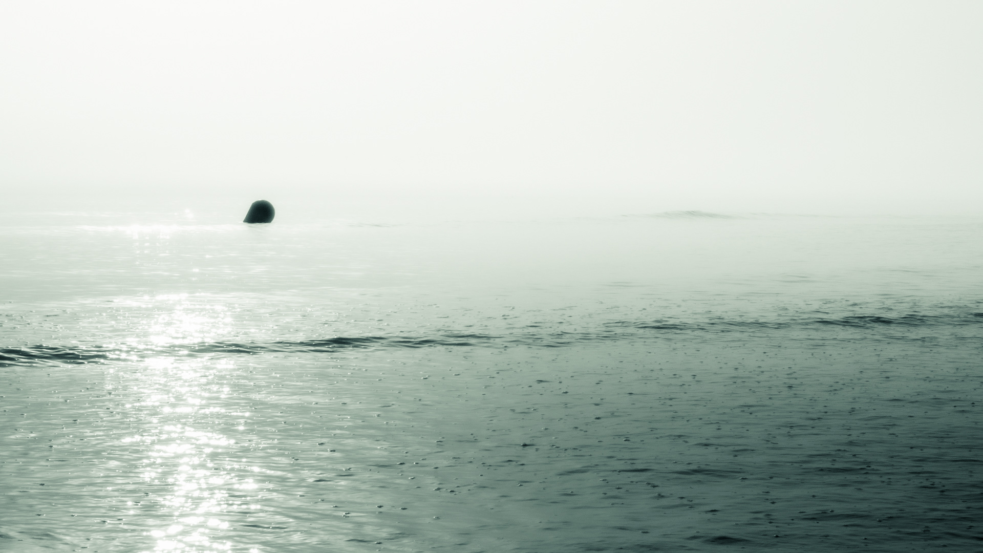 Image n° Marine B&W / Le Douhet Oleron 04