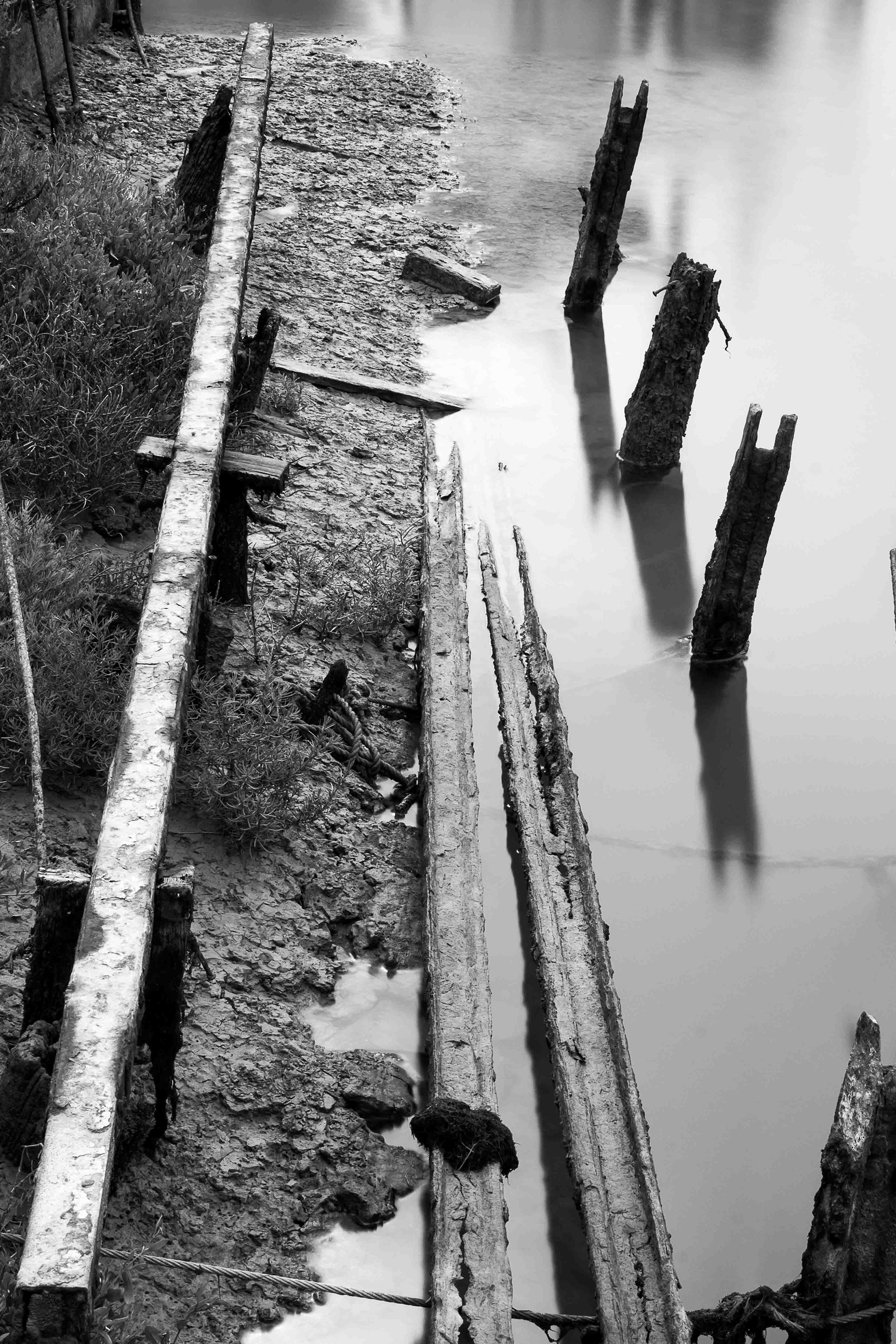 Image n° Marine B&W / Seaside 08