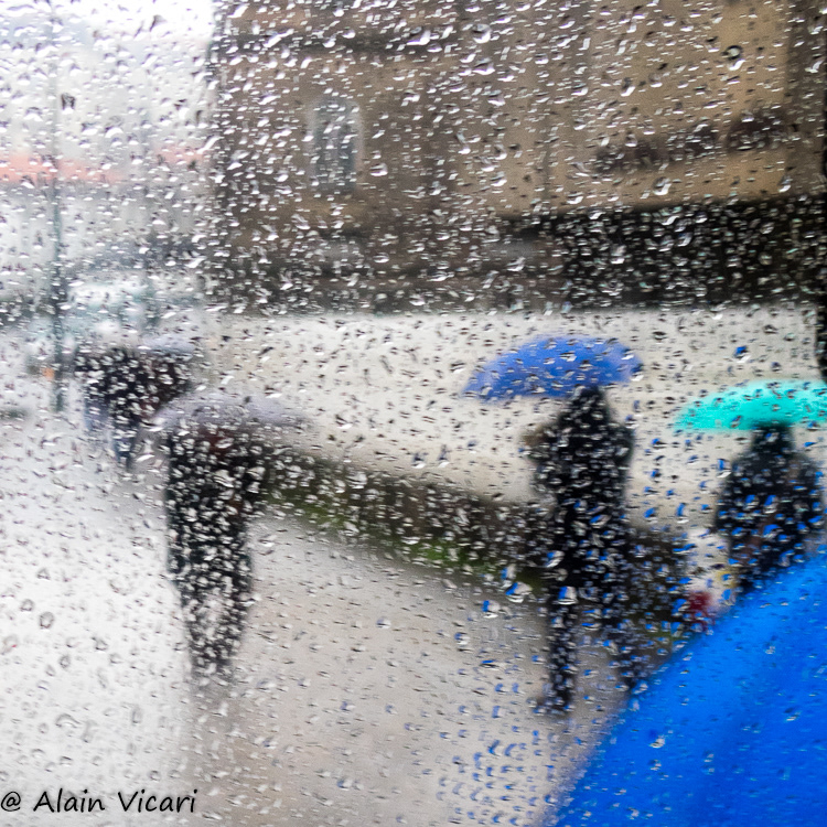 Rainy Color #09