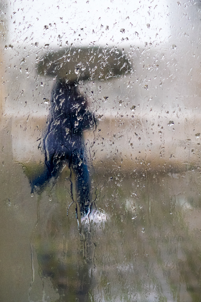 Rainy Color #22