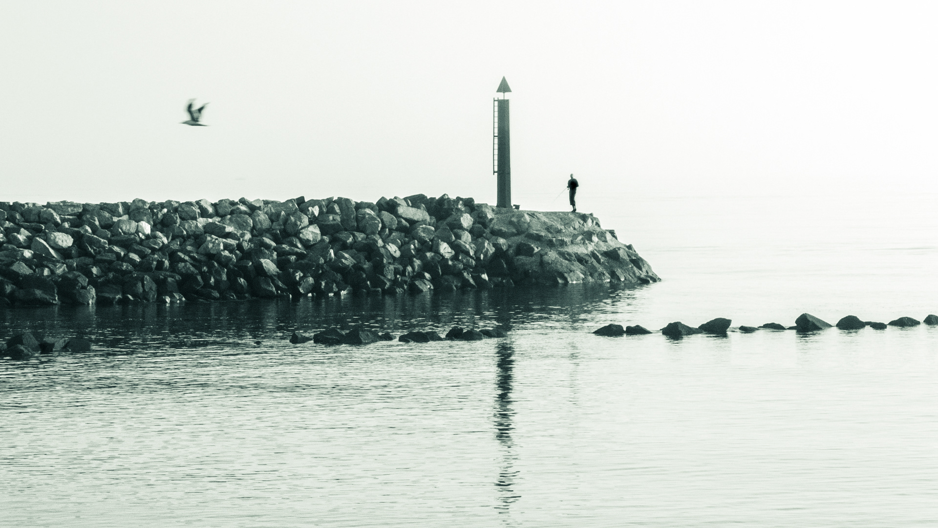 Image n° Marine B&W / Le Douhet Oleron 02