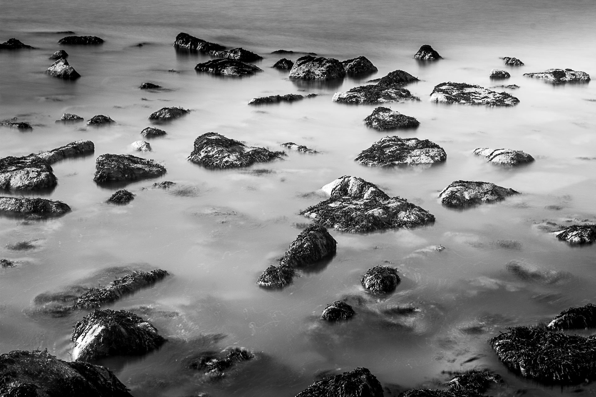 Image n° Marine B&W / Seaside 02