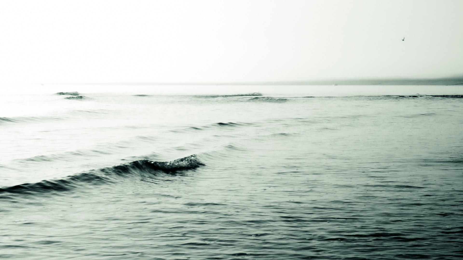 Image n° Marine B&W / Le Douhet Oleron 06