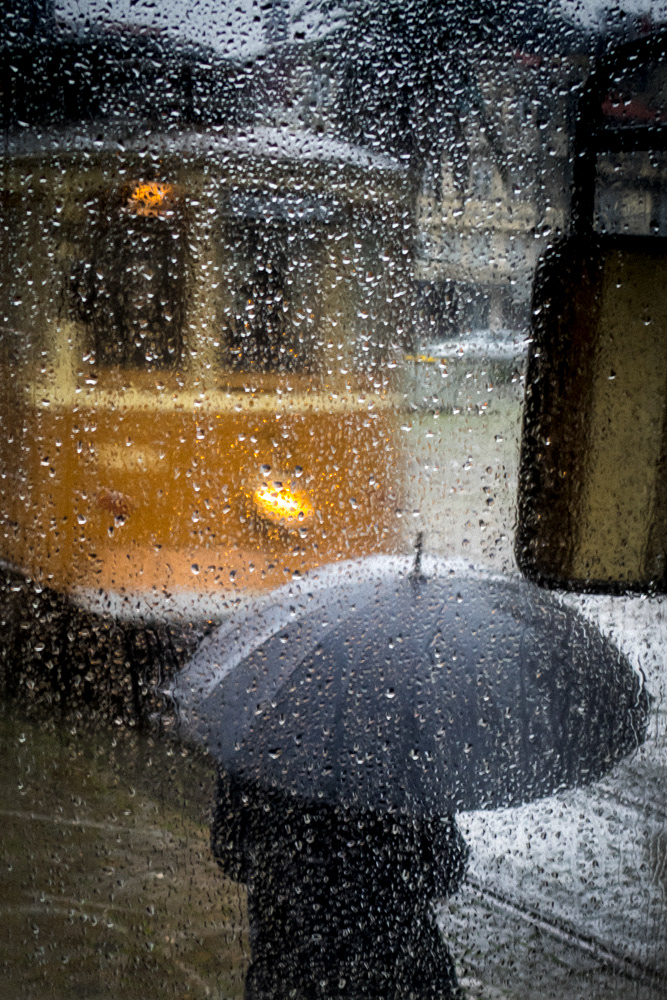 Rainy Color #17