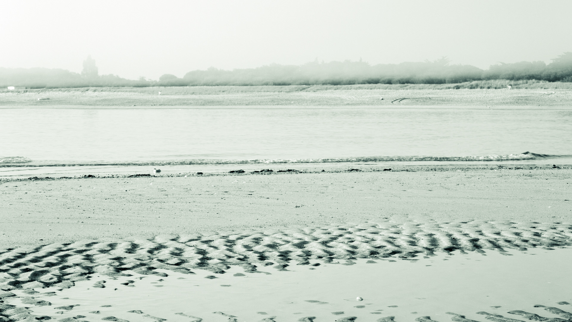 Image n° Marine B&W / Le Douhet Oleron 11