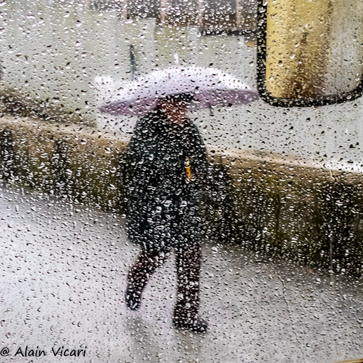 Rainy Color #10
