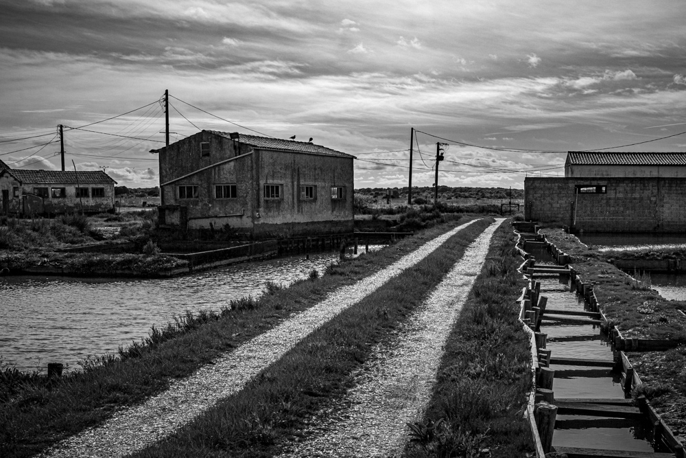 Image n° Marine B&W / Ports Oléron 02