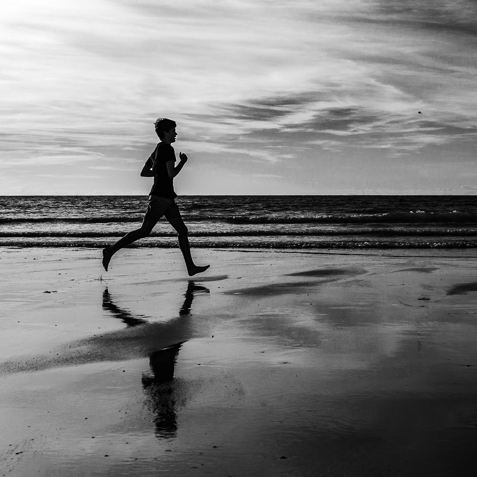 Image n° Marine B&W / Silhouettes Oléron 05