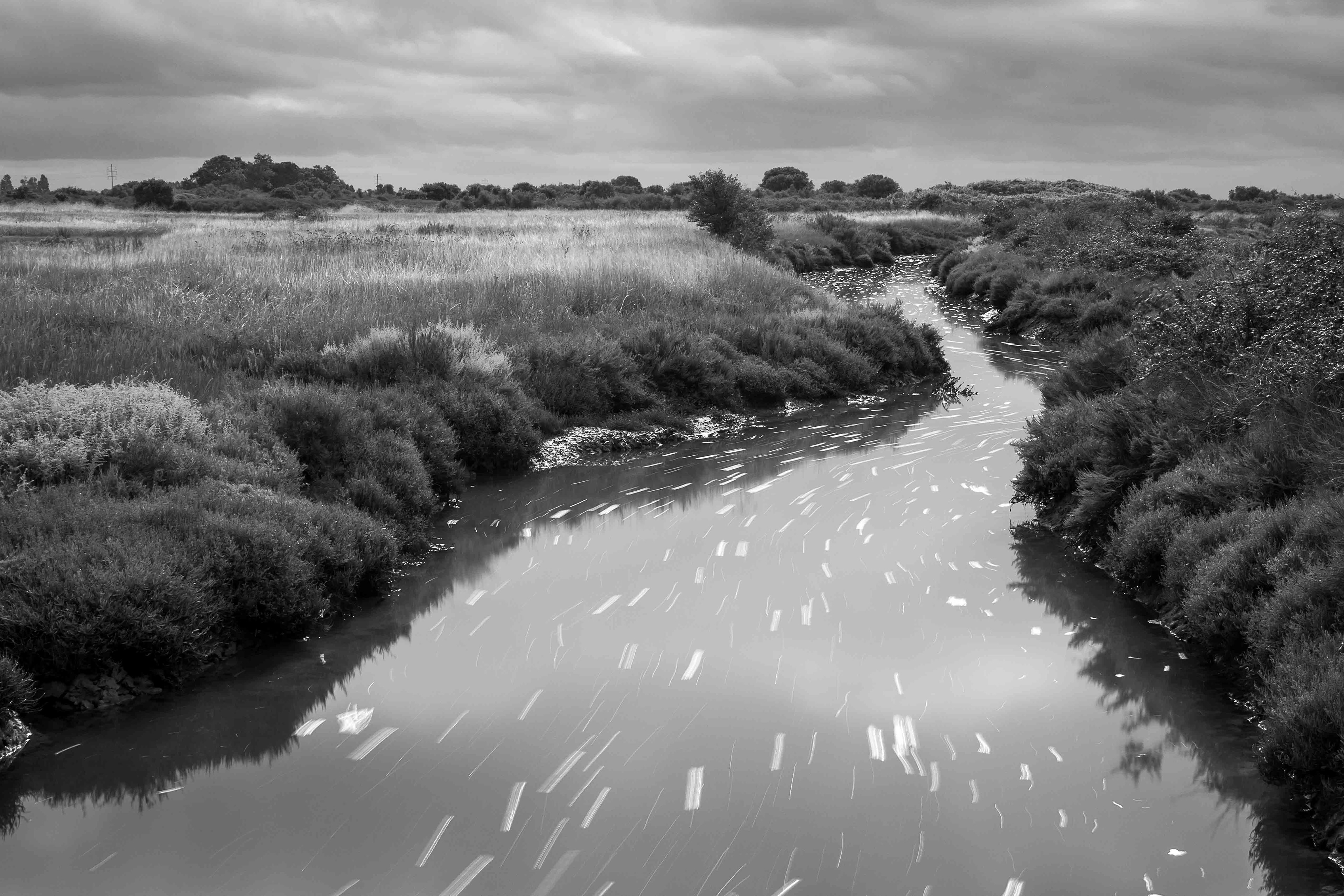 Image n° Marine B&W / Seaside 07