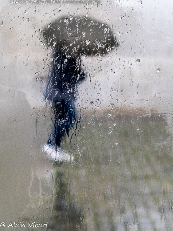 Rainy Color #13