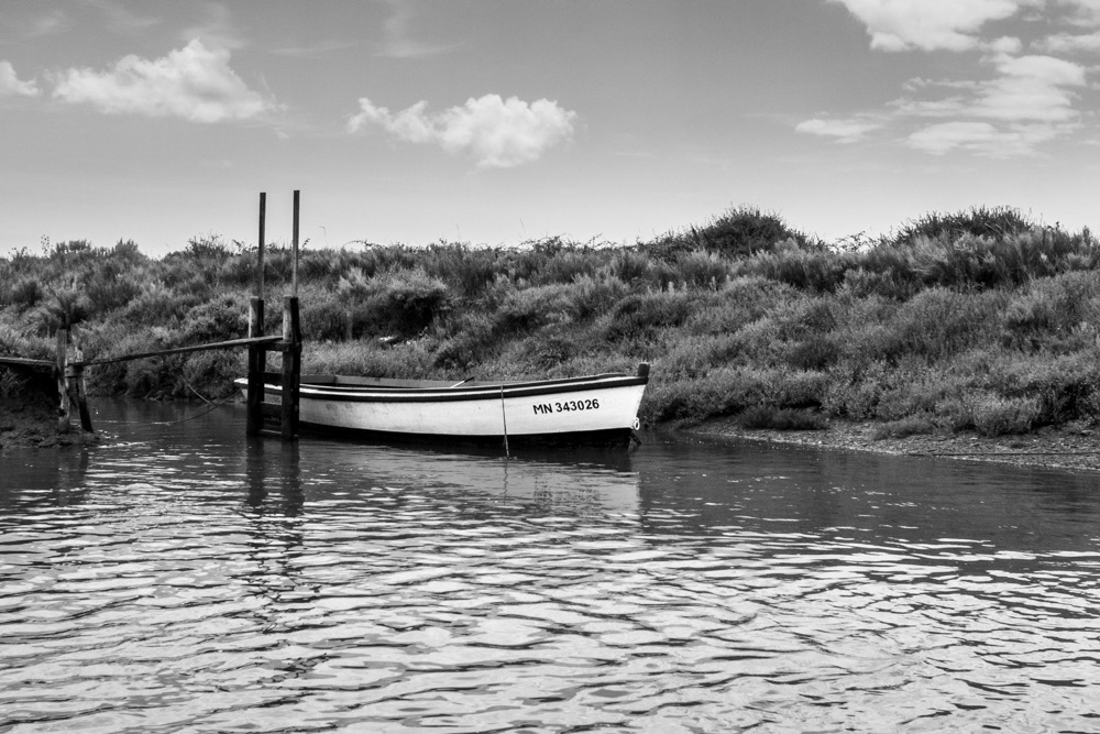 Image n° Marine B&W / Ports Oléron 06