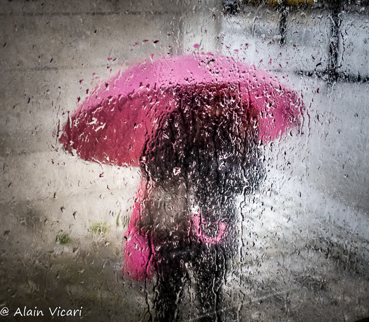 Rainy Color #08